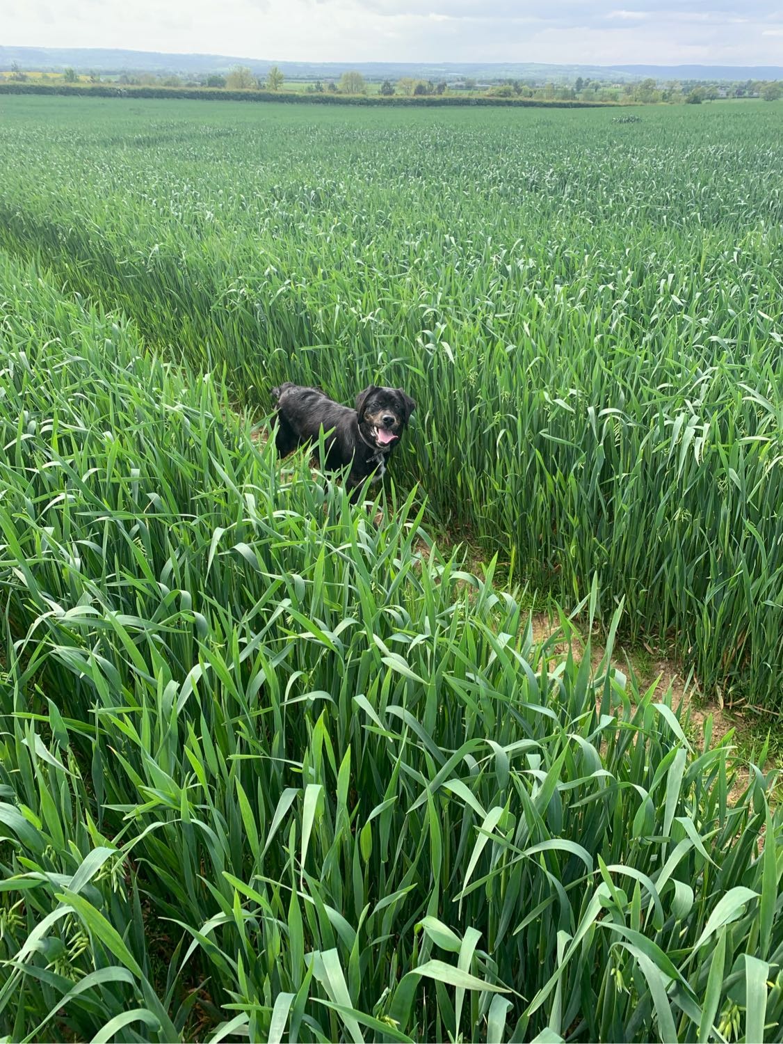 image-5