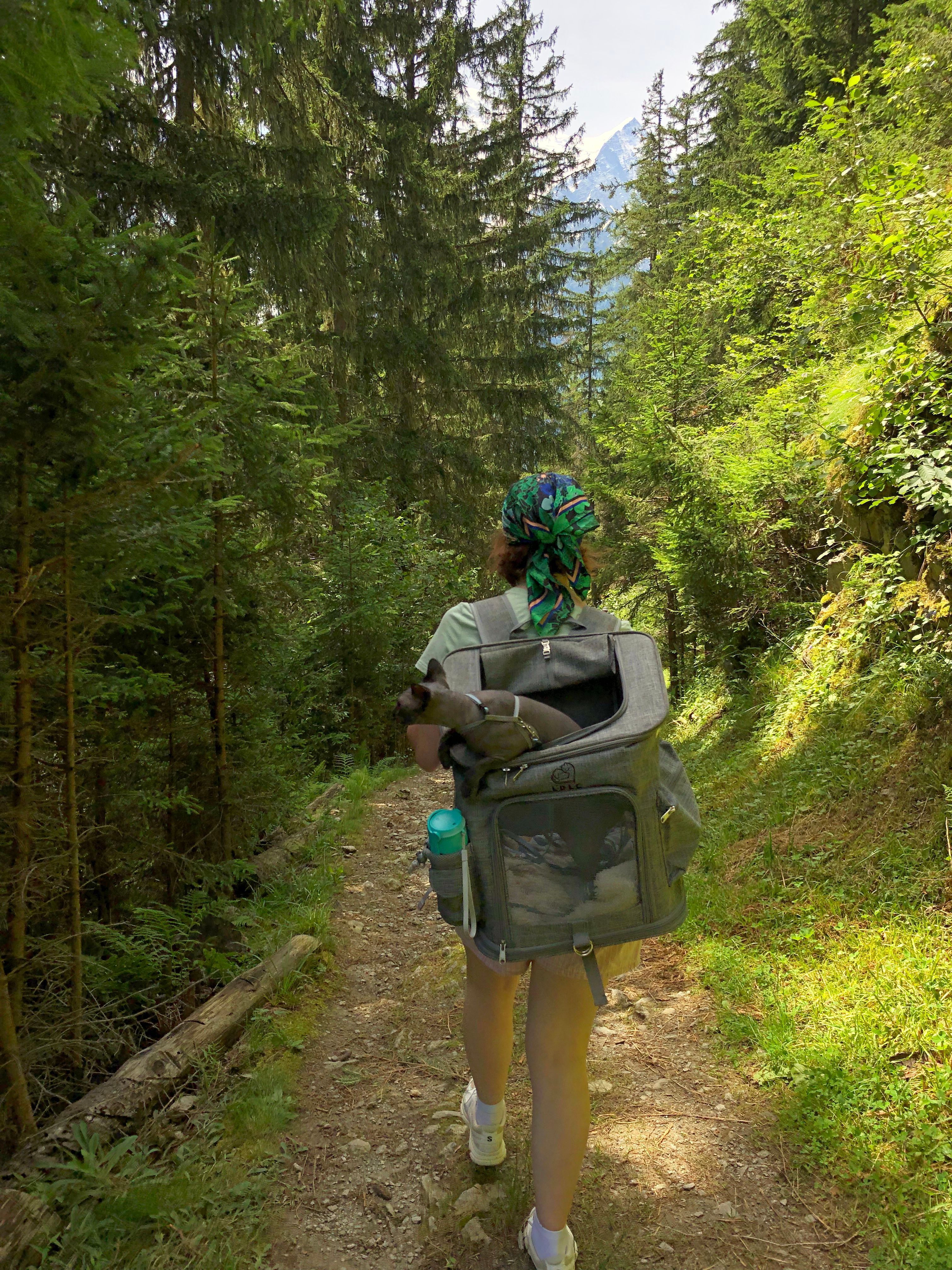 image-8