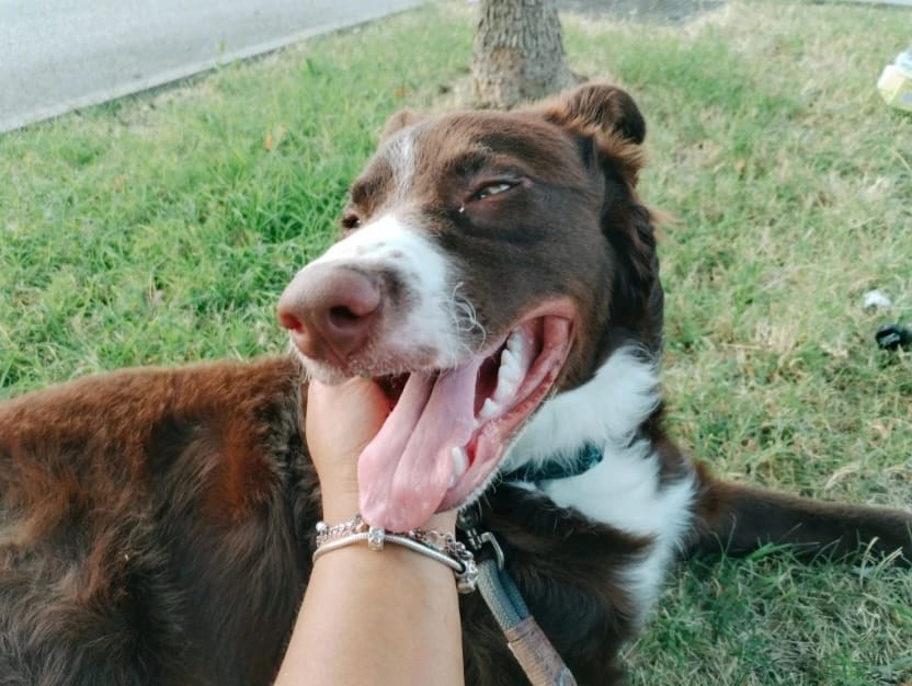 image-9