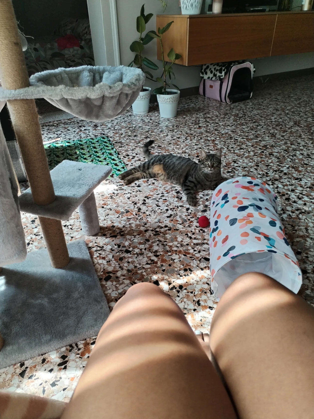 image-10