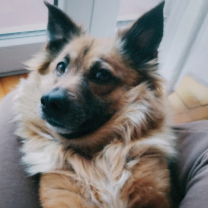 Kira