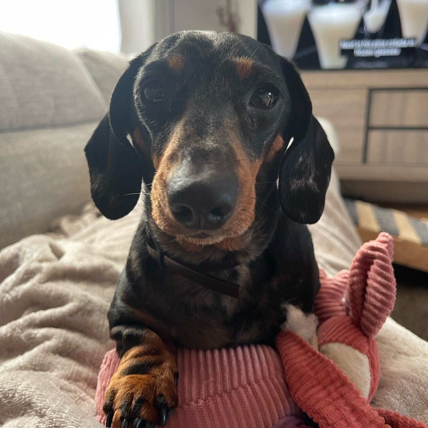 lulu