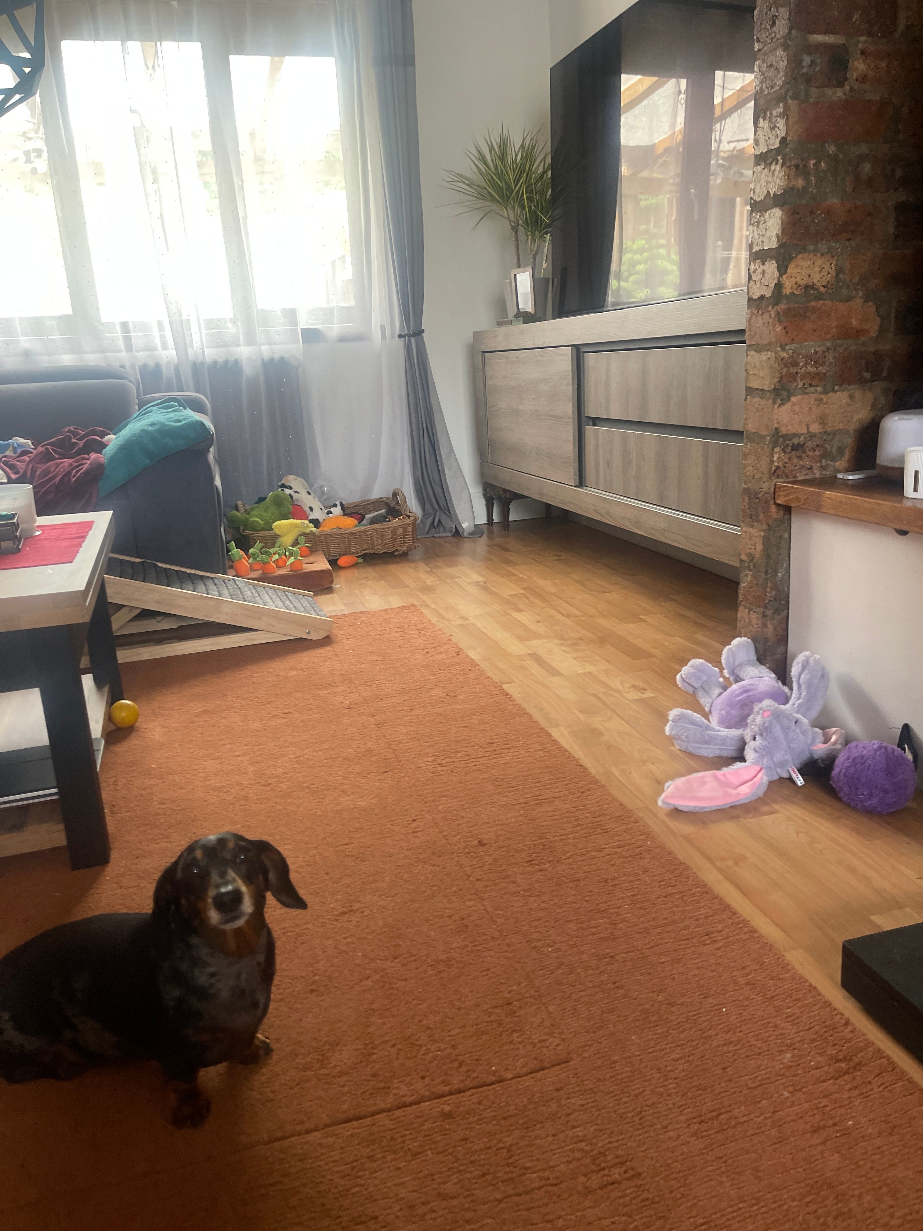 image-15