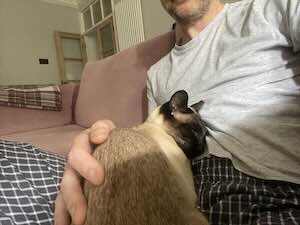 image-32