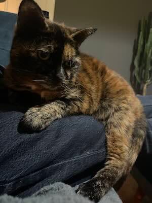 image-31
