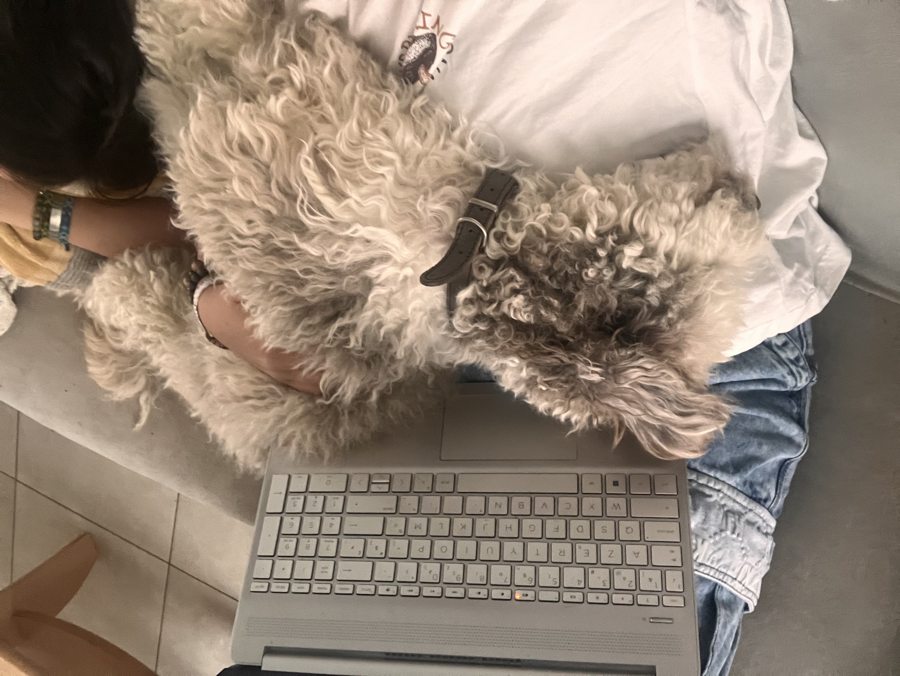 image-6