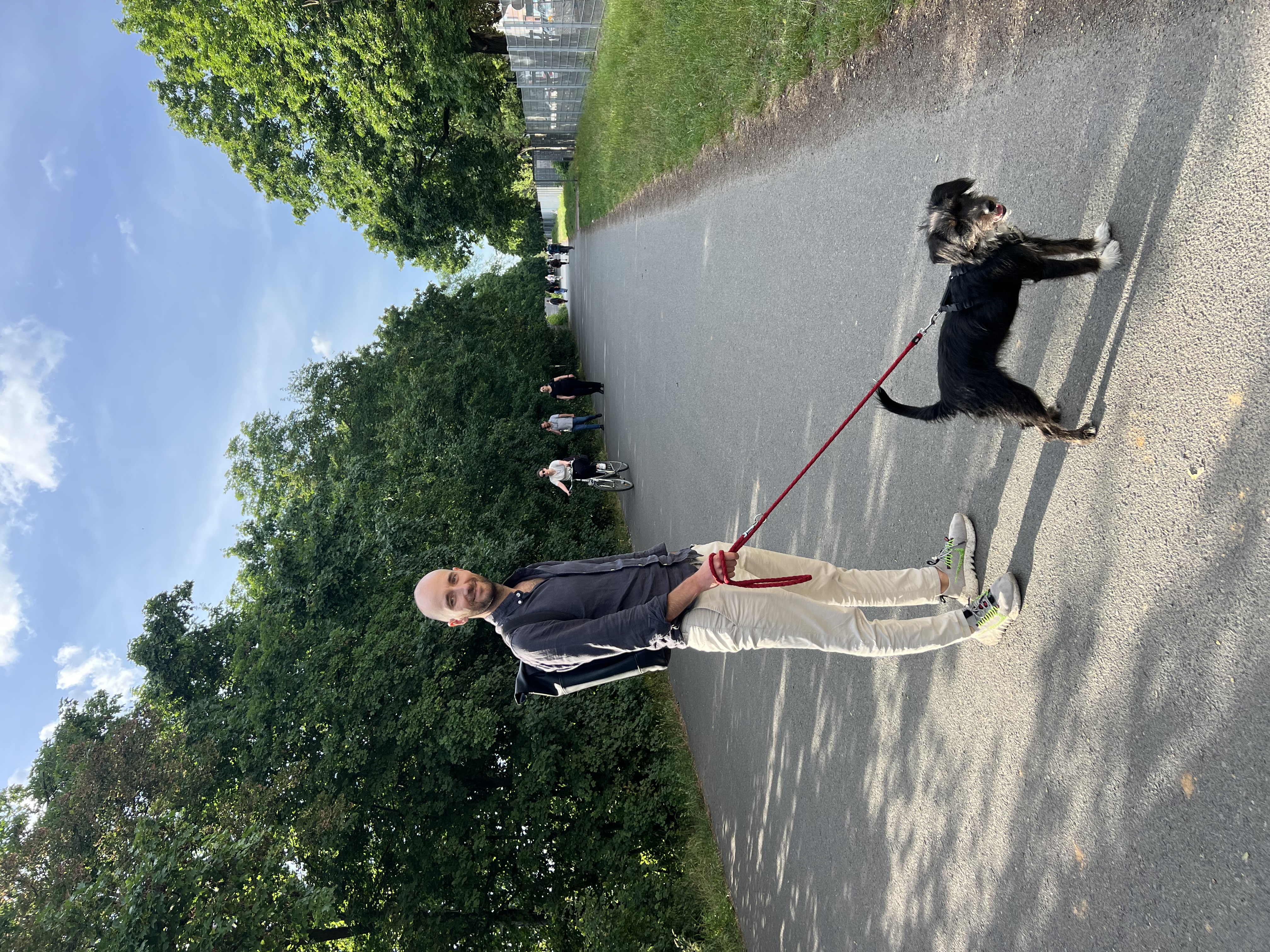 image-12