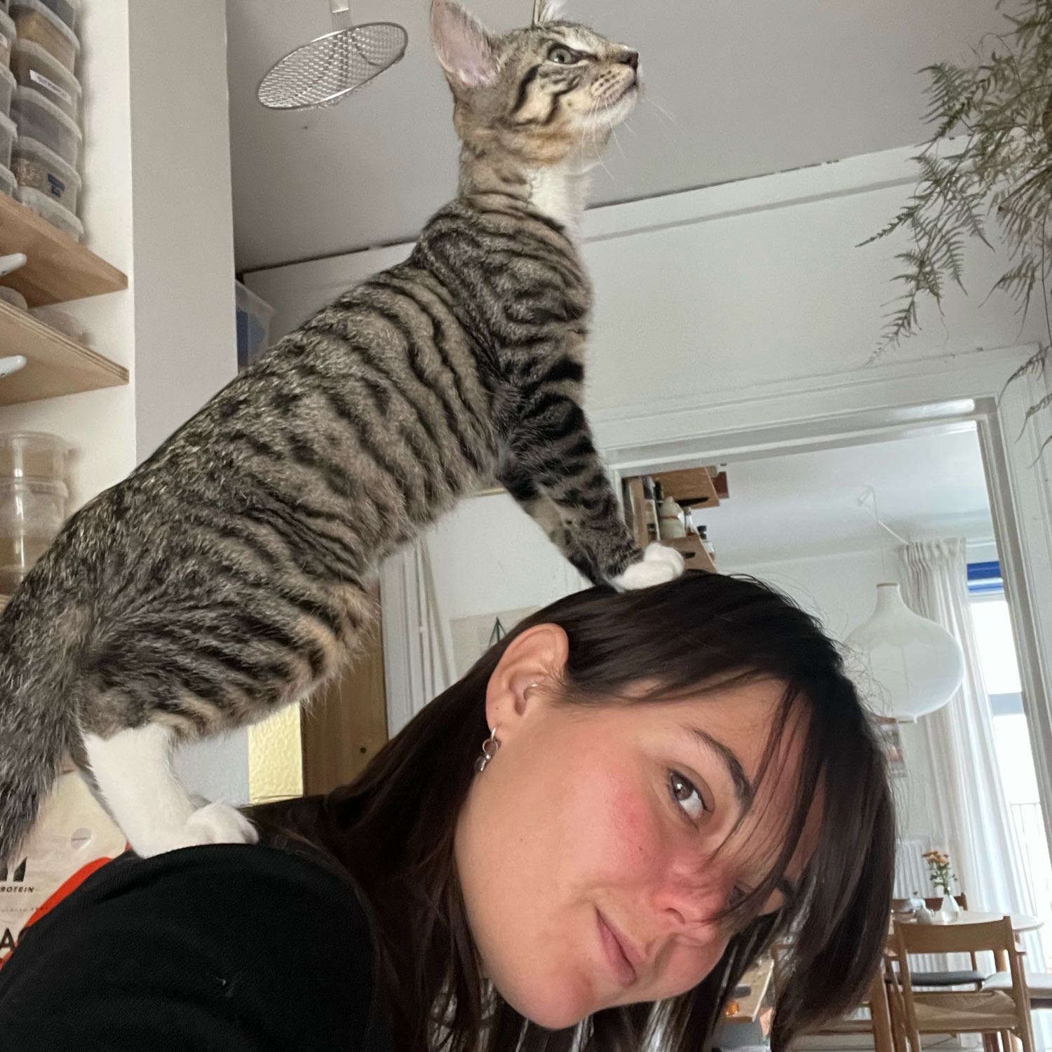 Em Kat