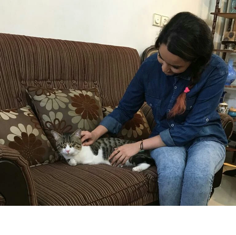 image-3