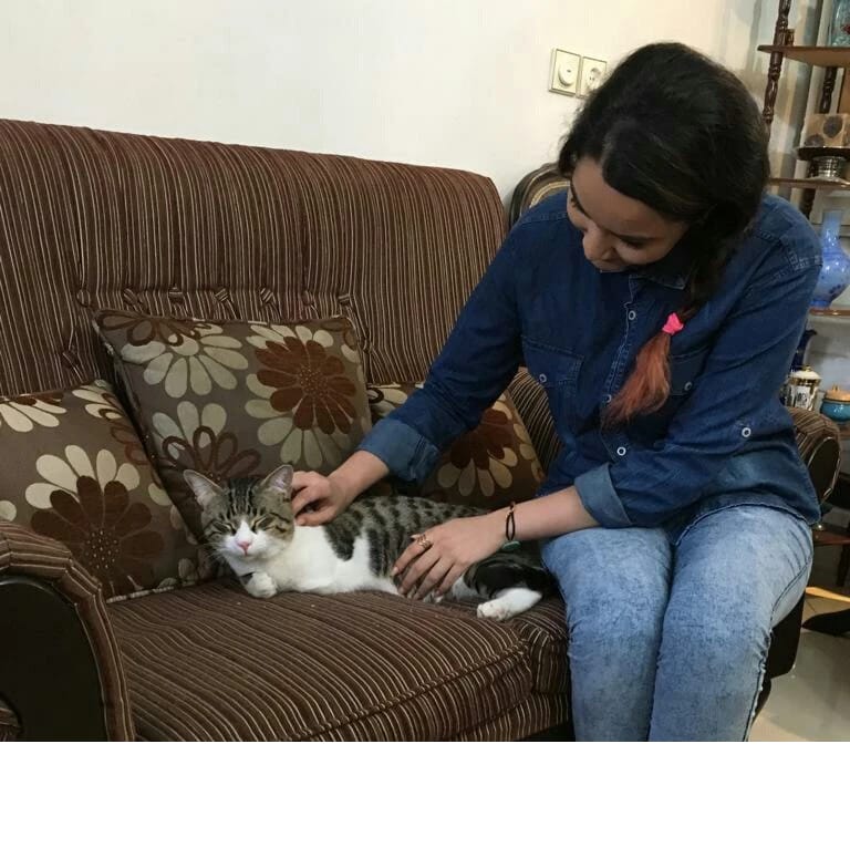 image-3