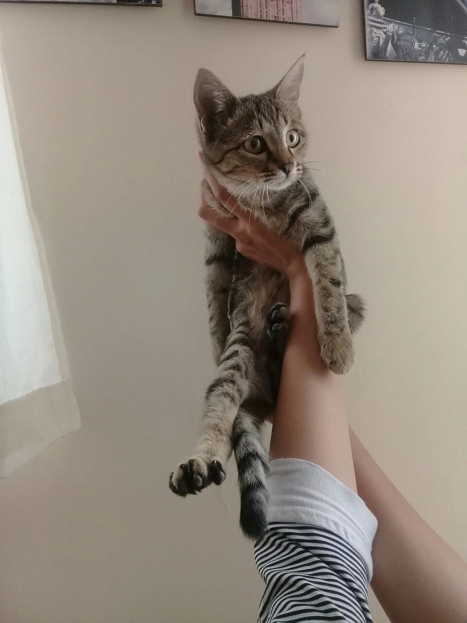 image-7