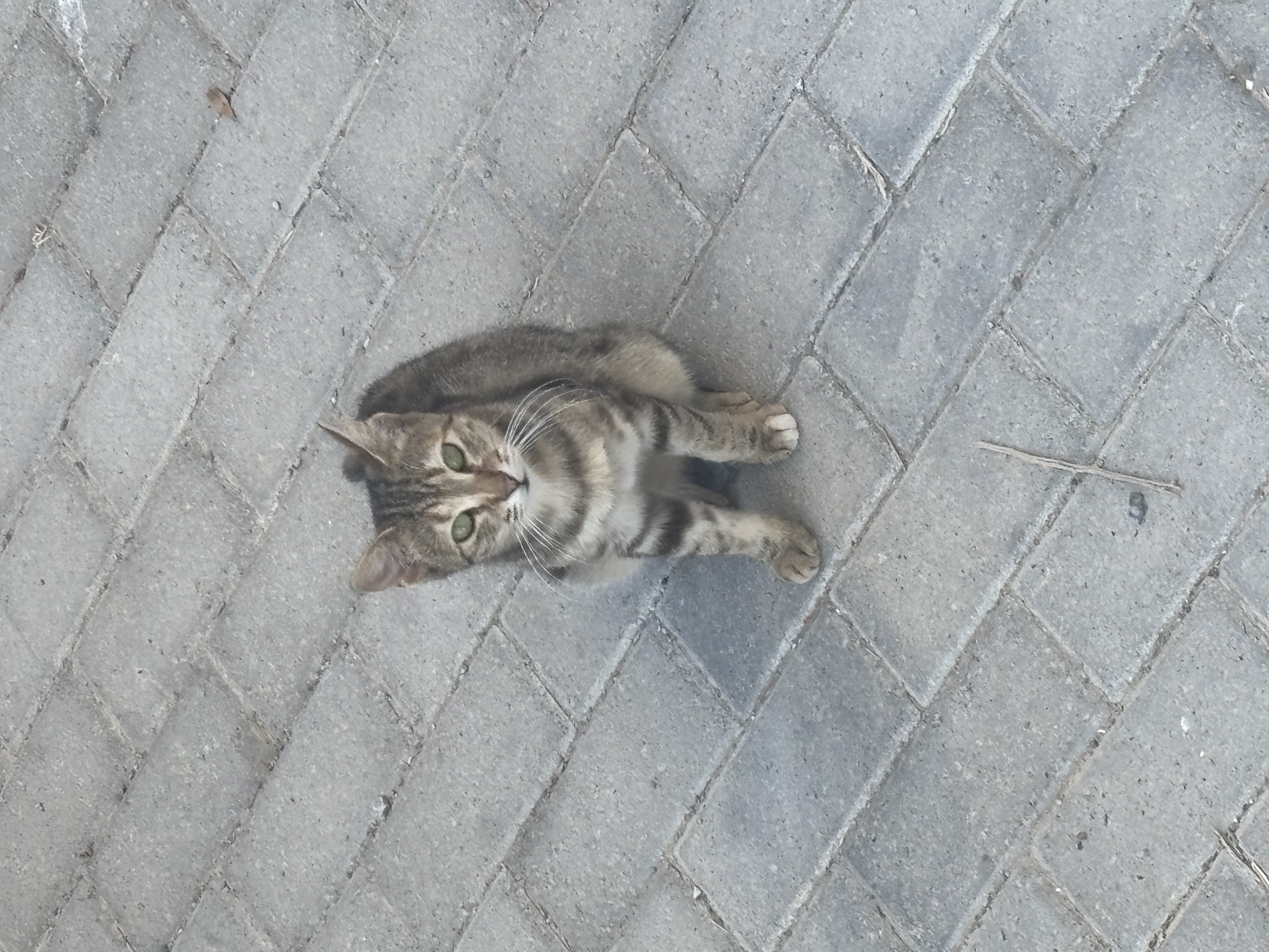 image-11