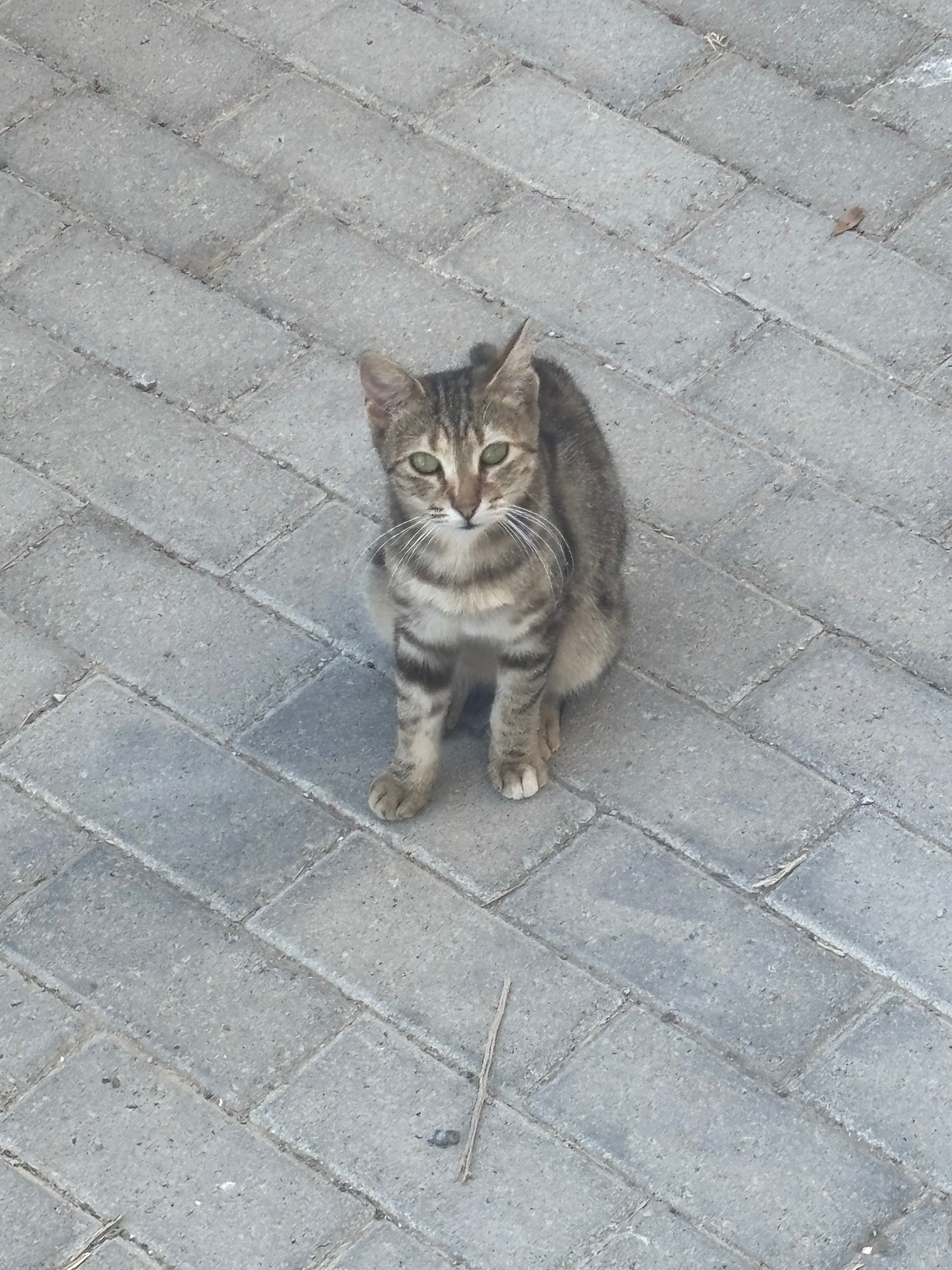 image-11