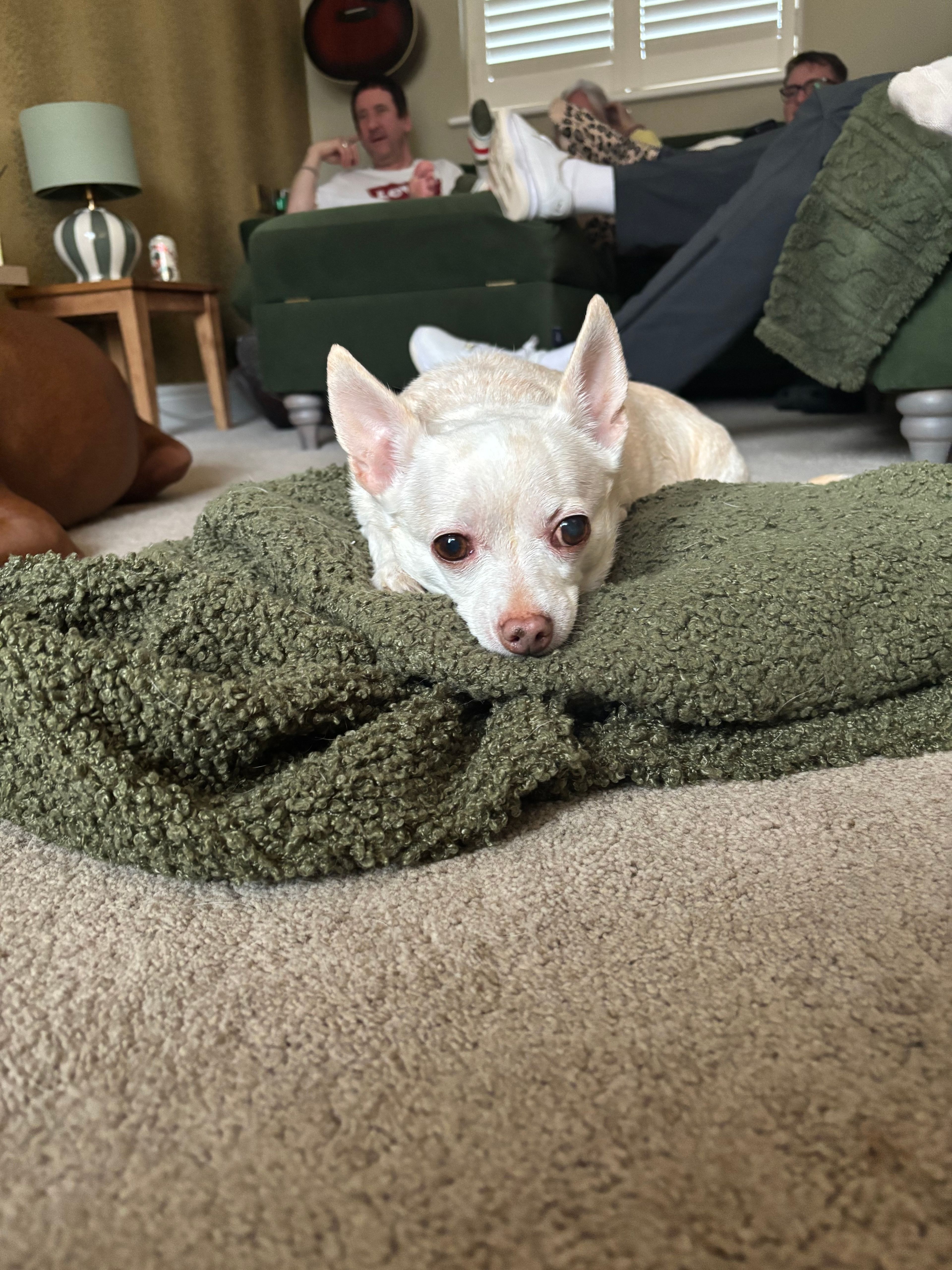 image-16