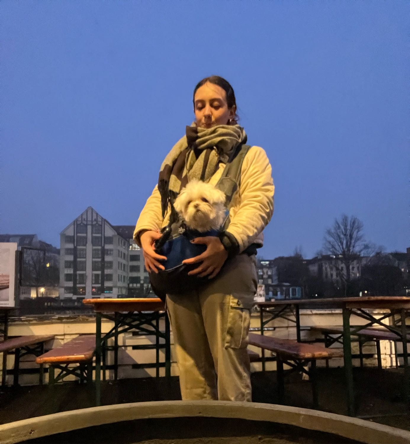 image-9