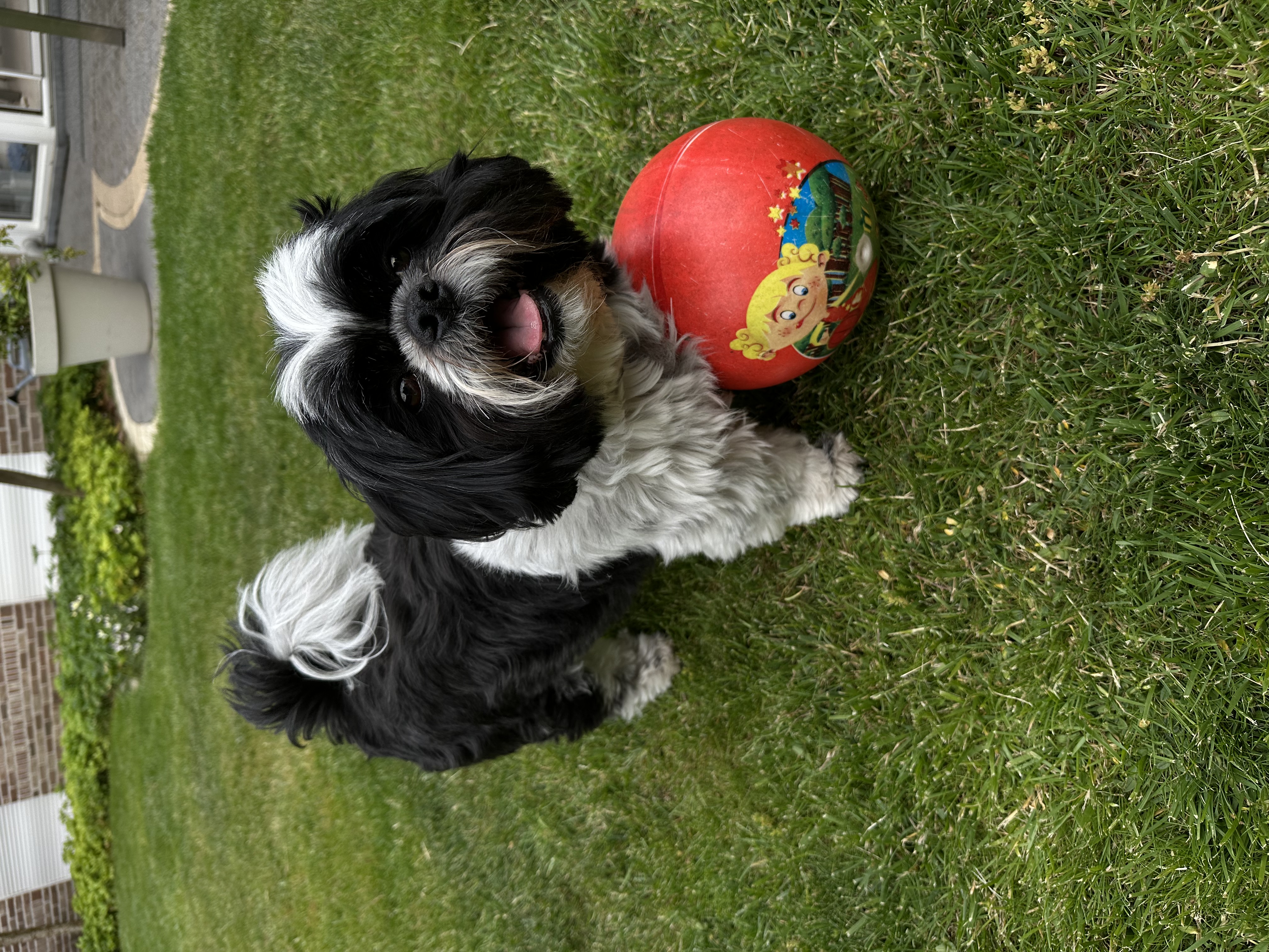 image-8