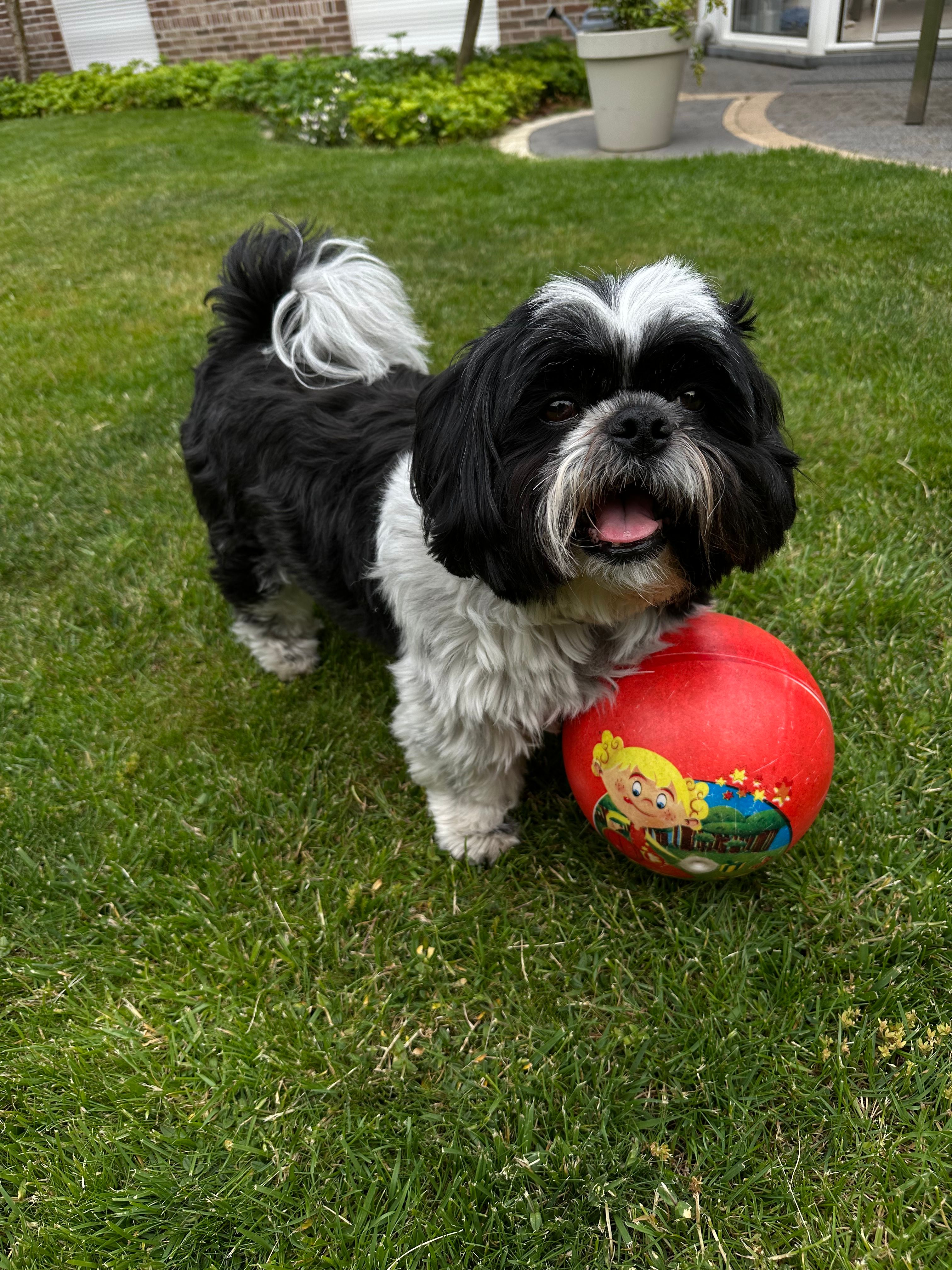image-8