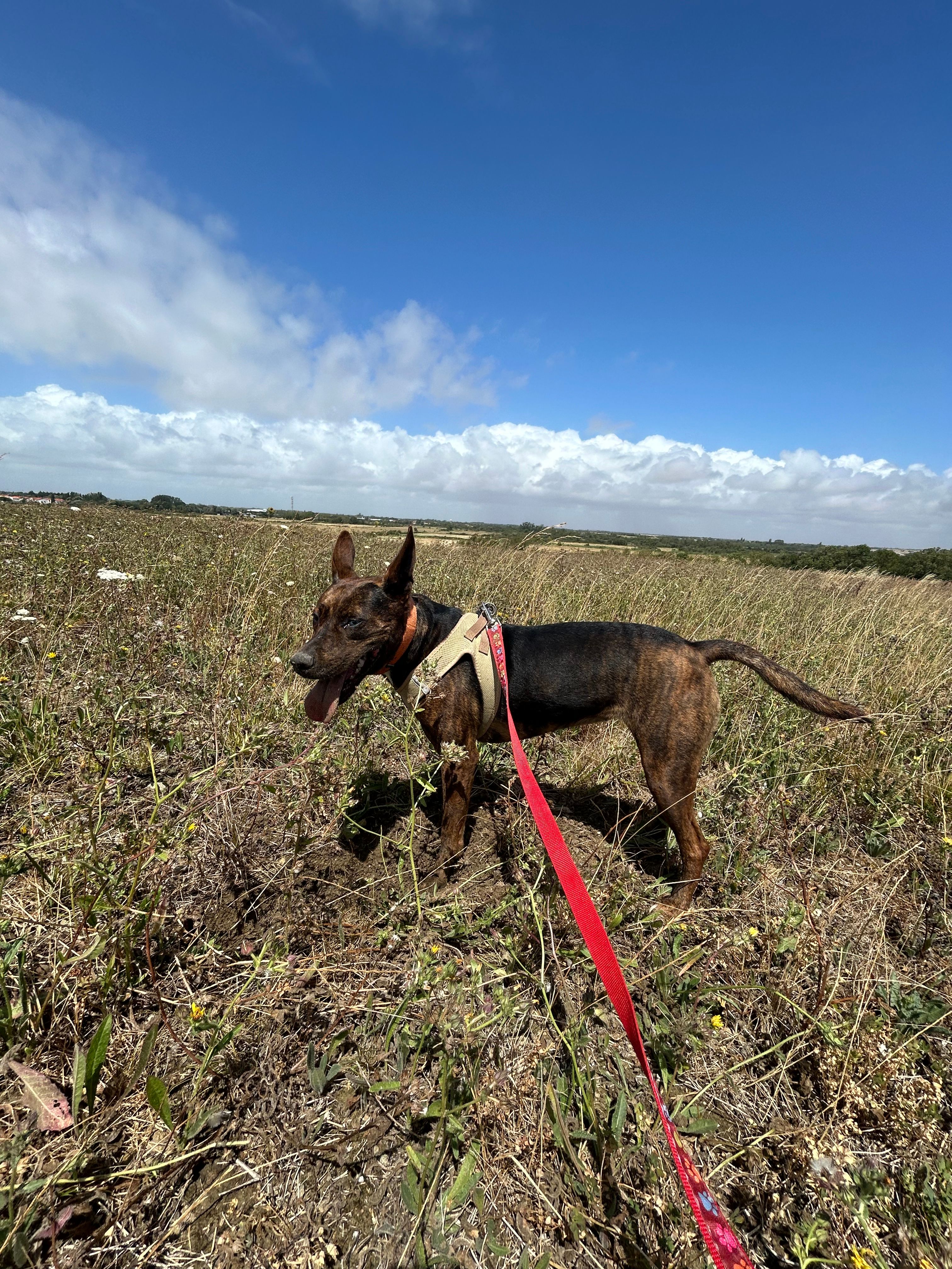 image-9