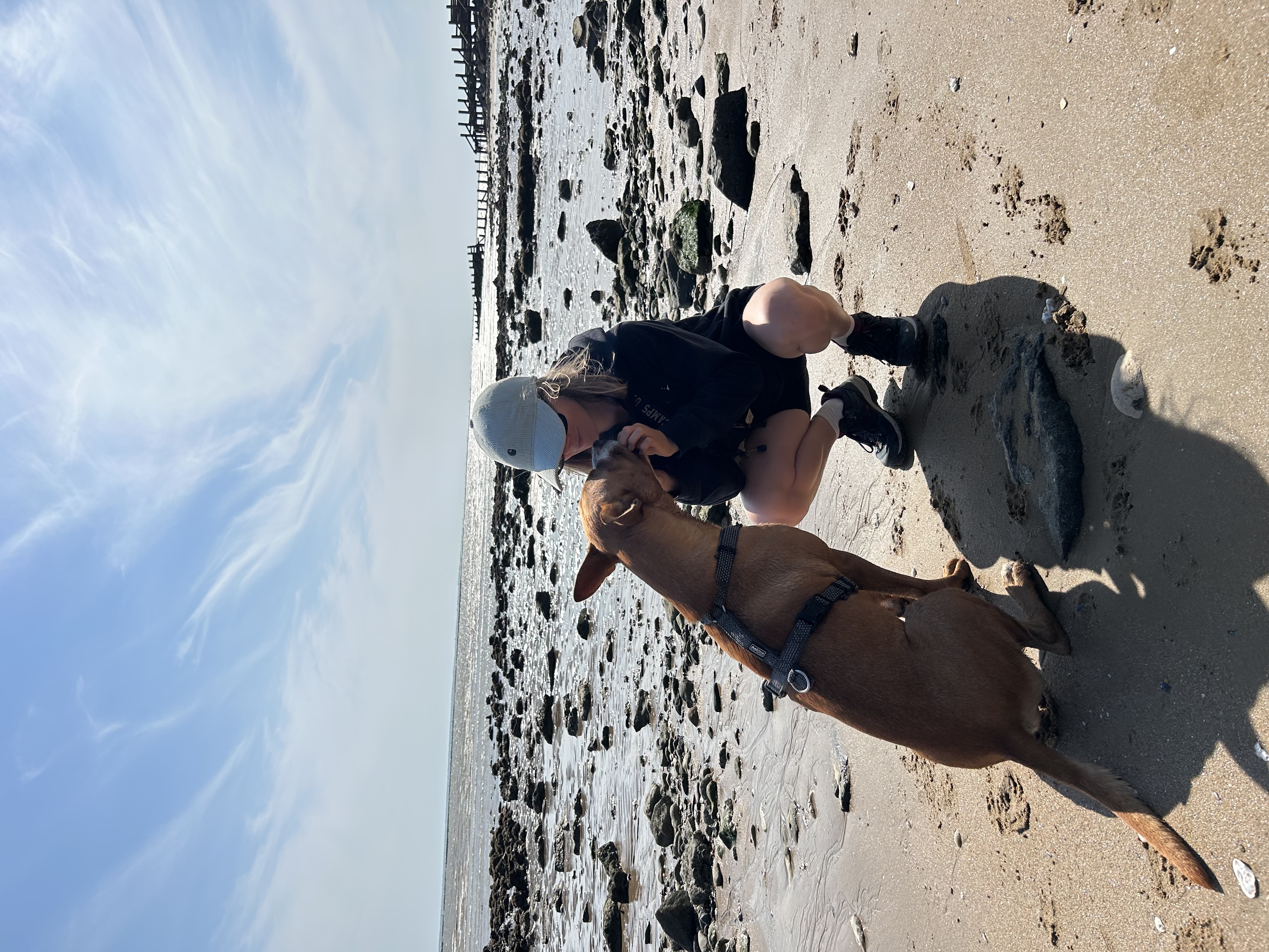 image-0