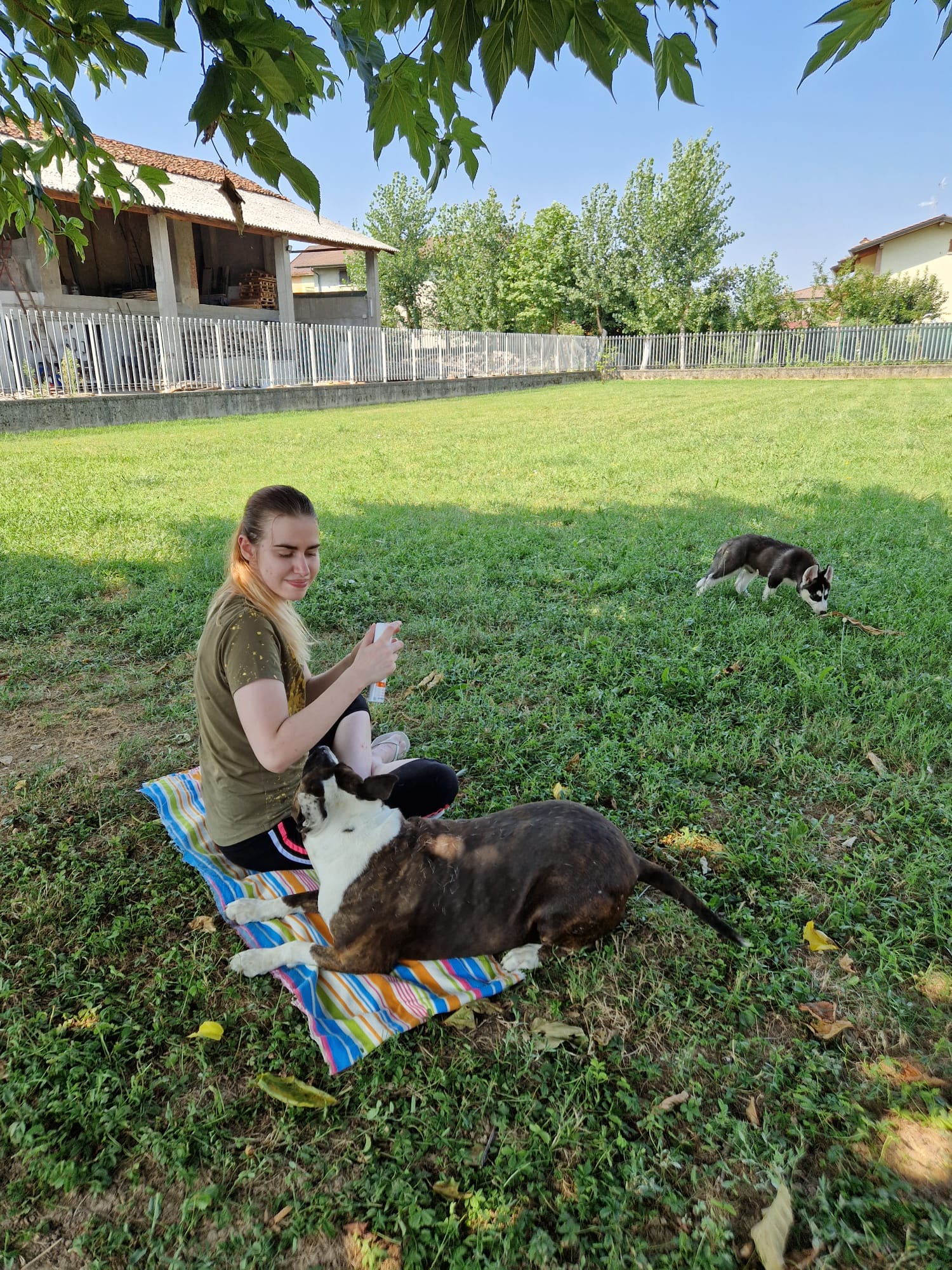 image-4