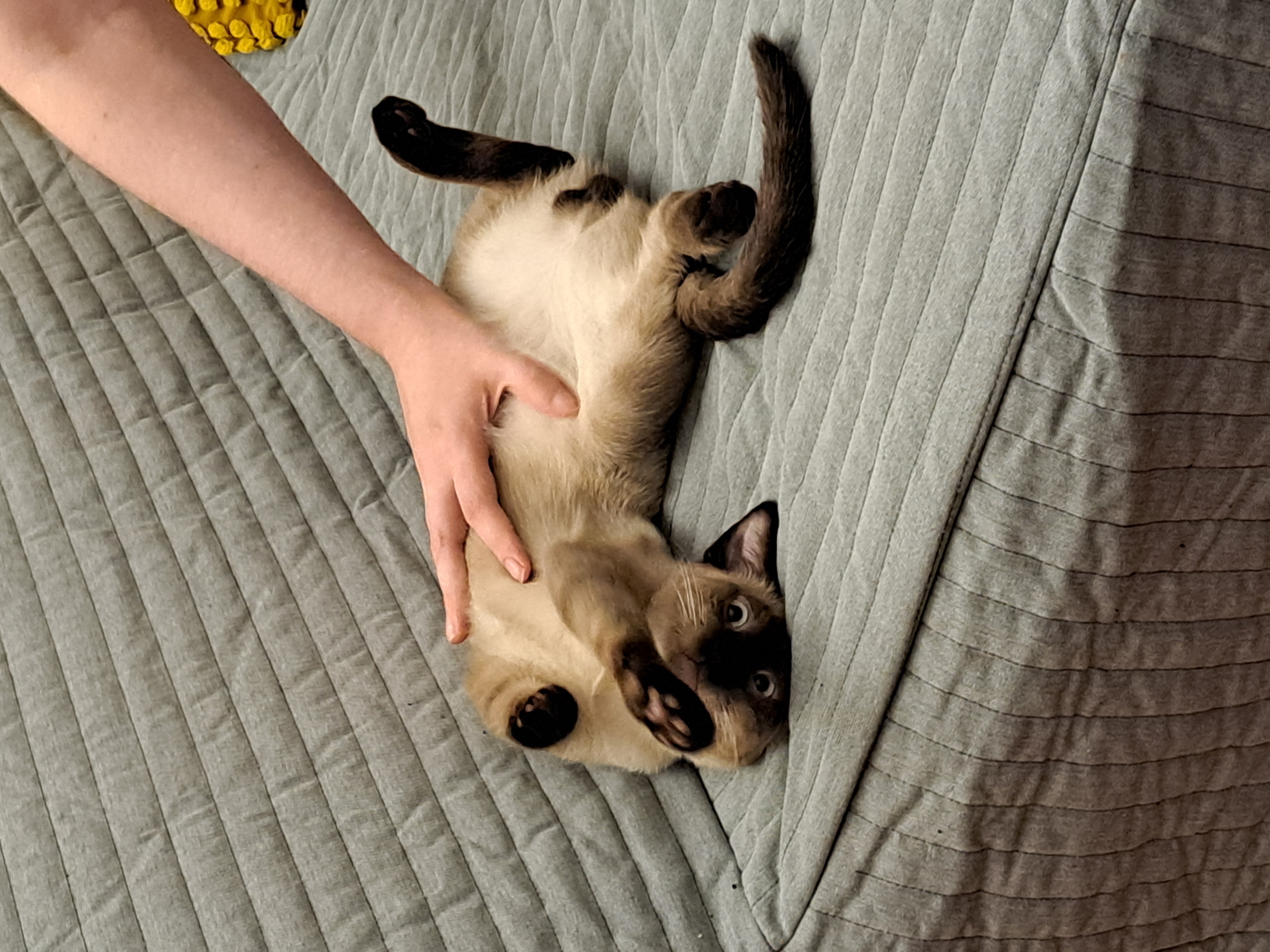 image-6