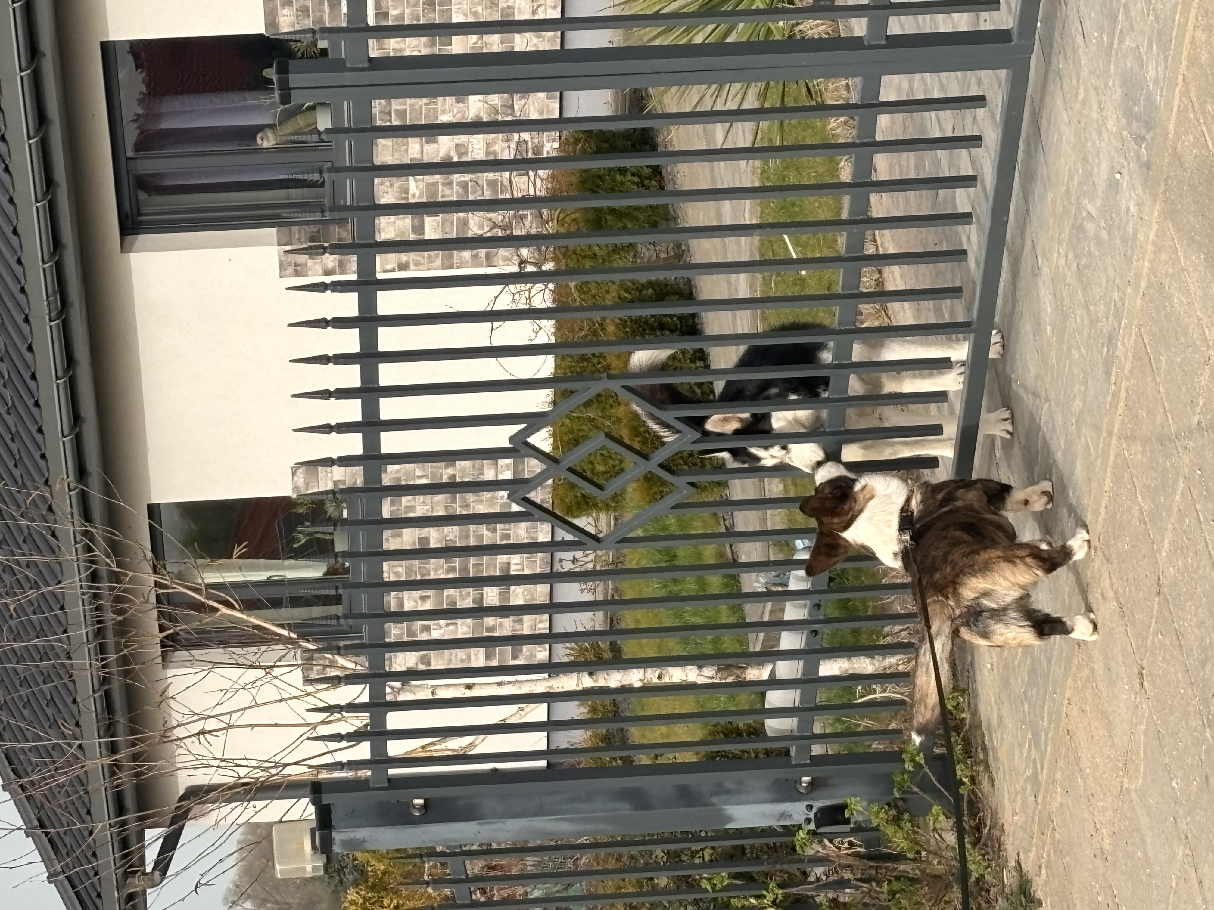 image-6