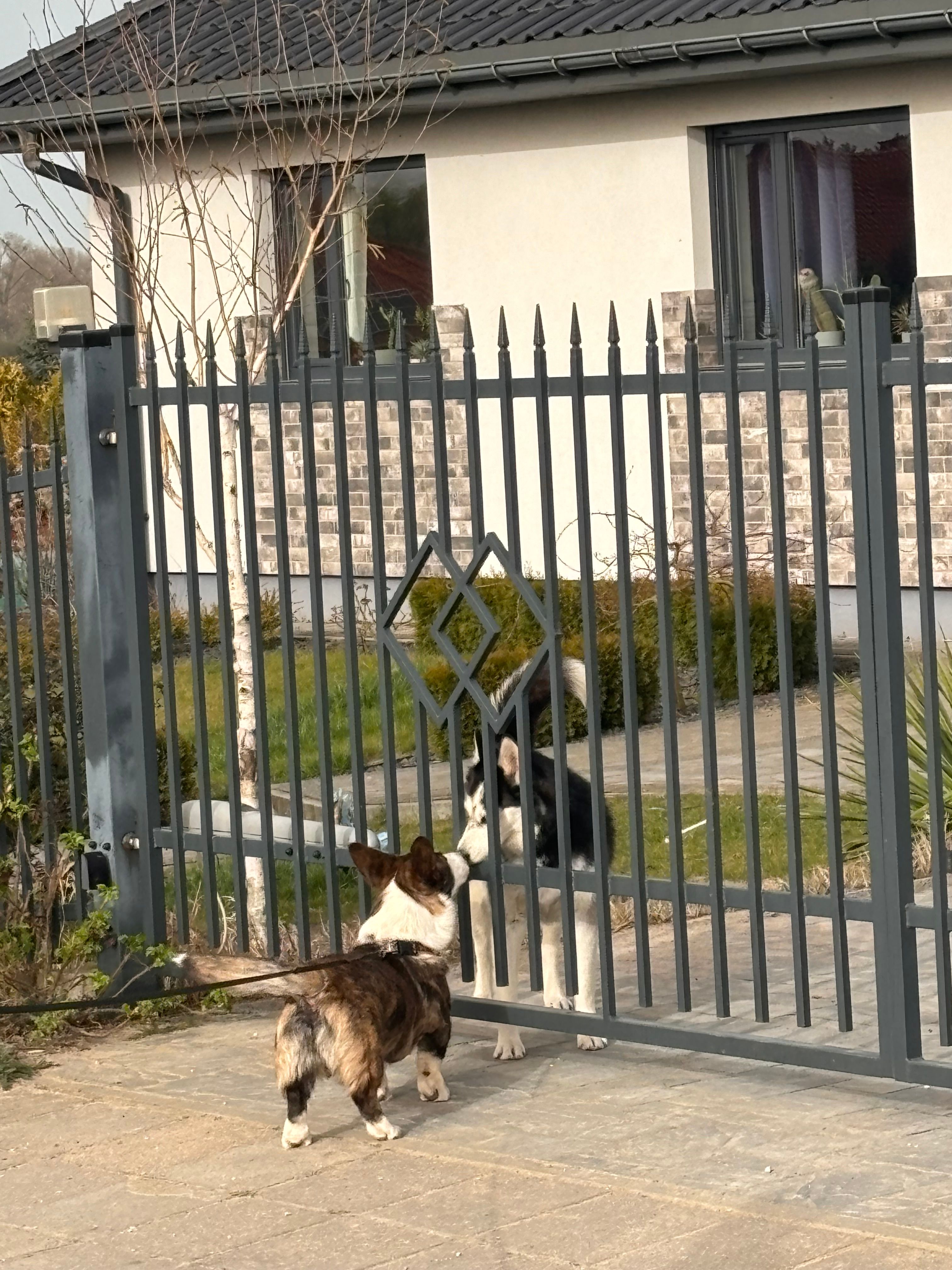 image-6
