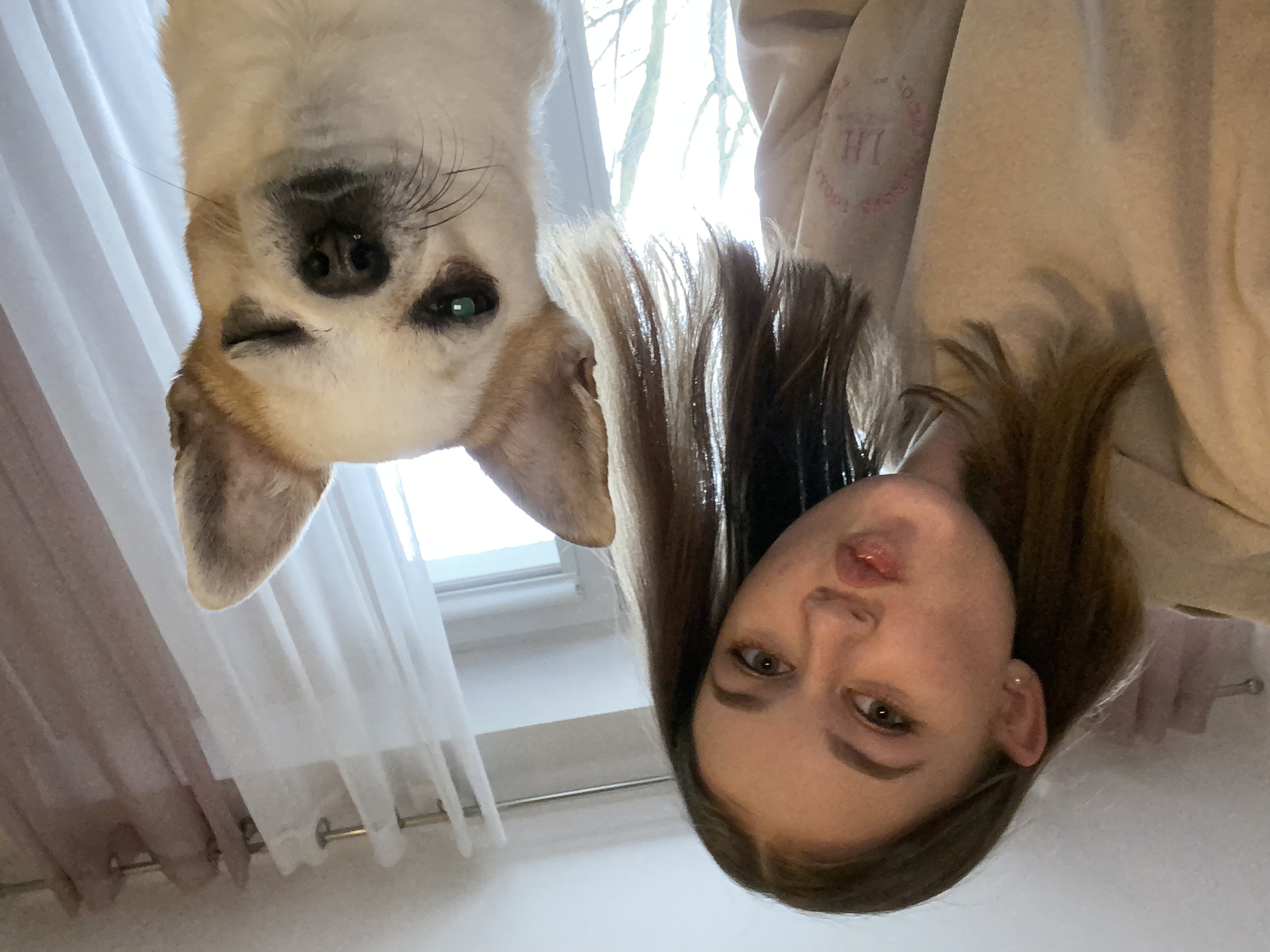 image-9