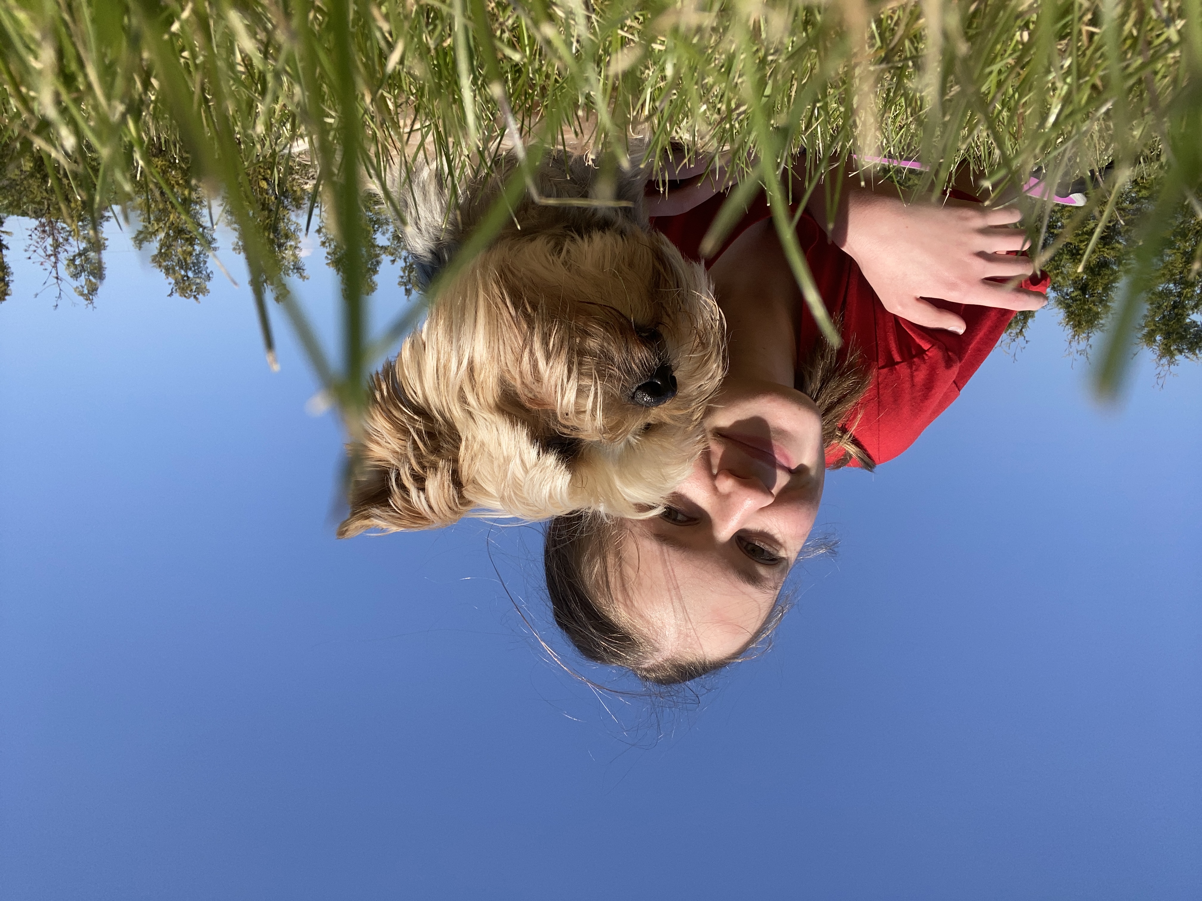 image-2