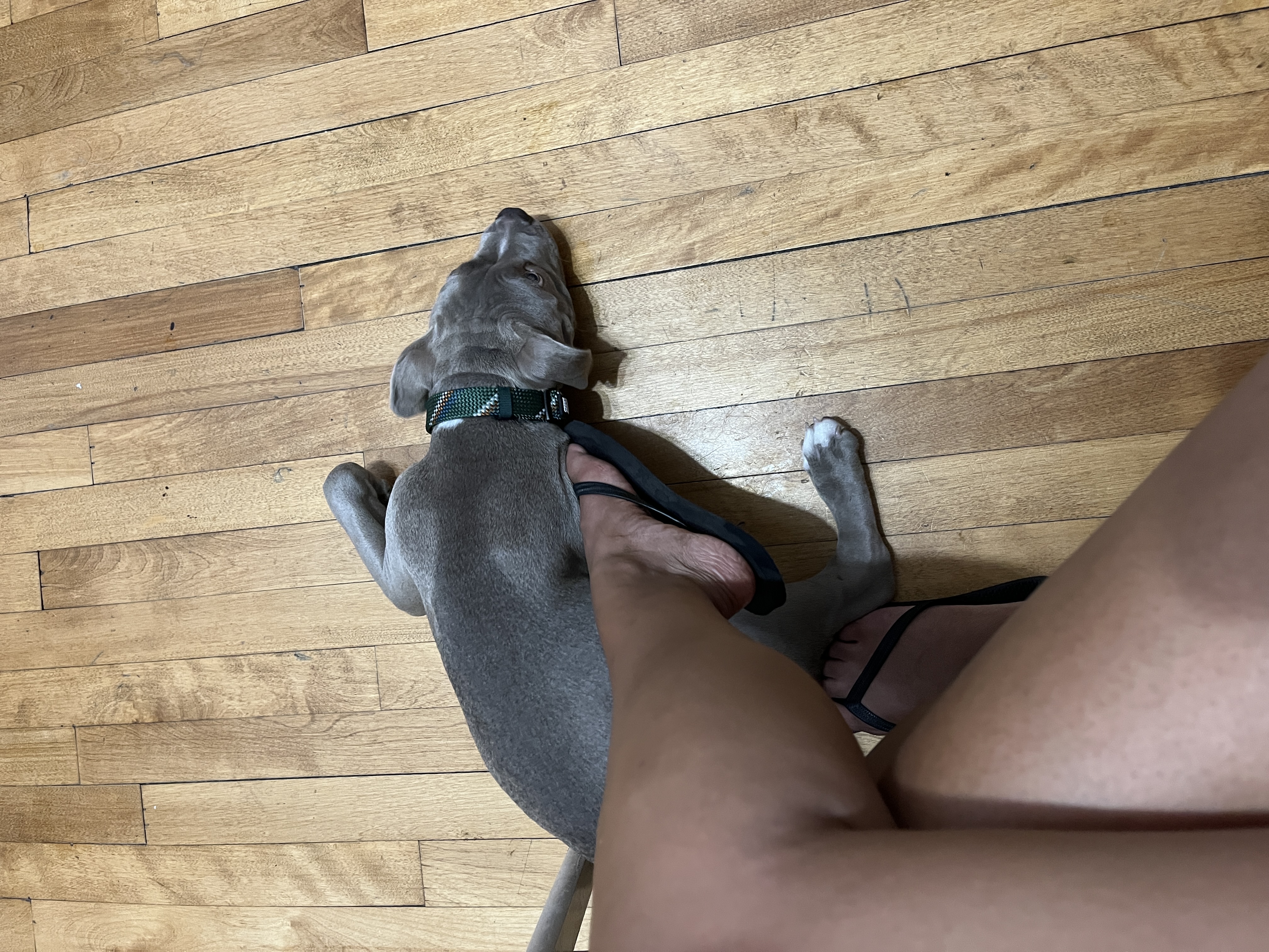 image-12