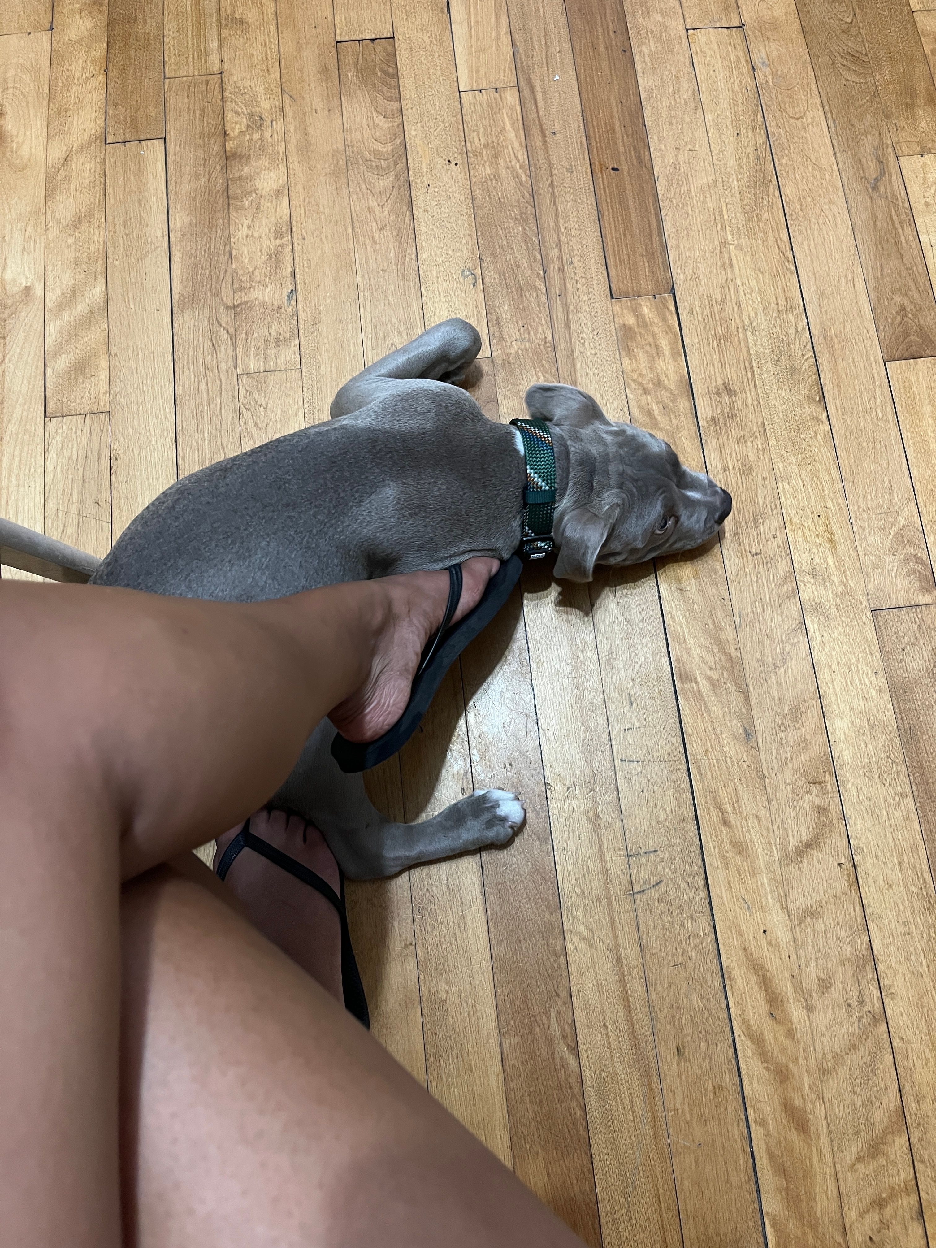 image-12