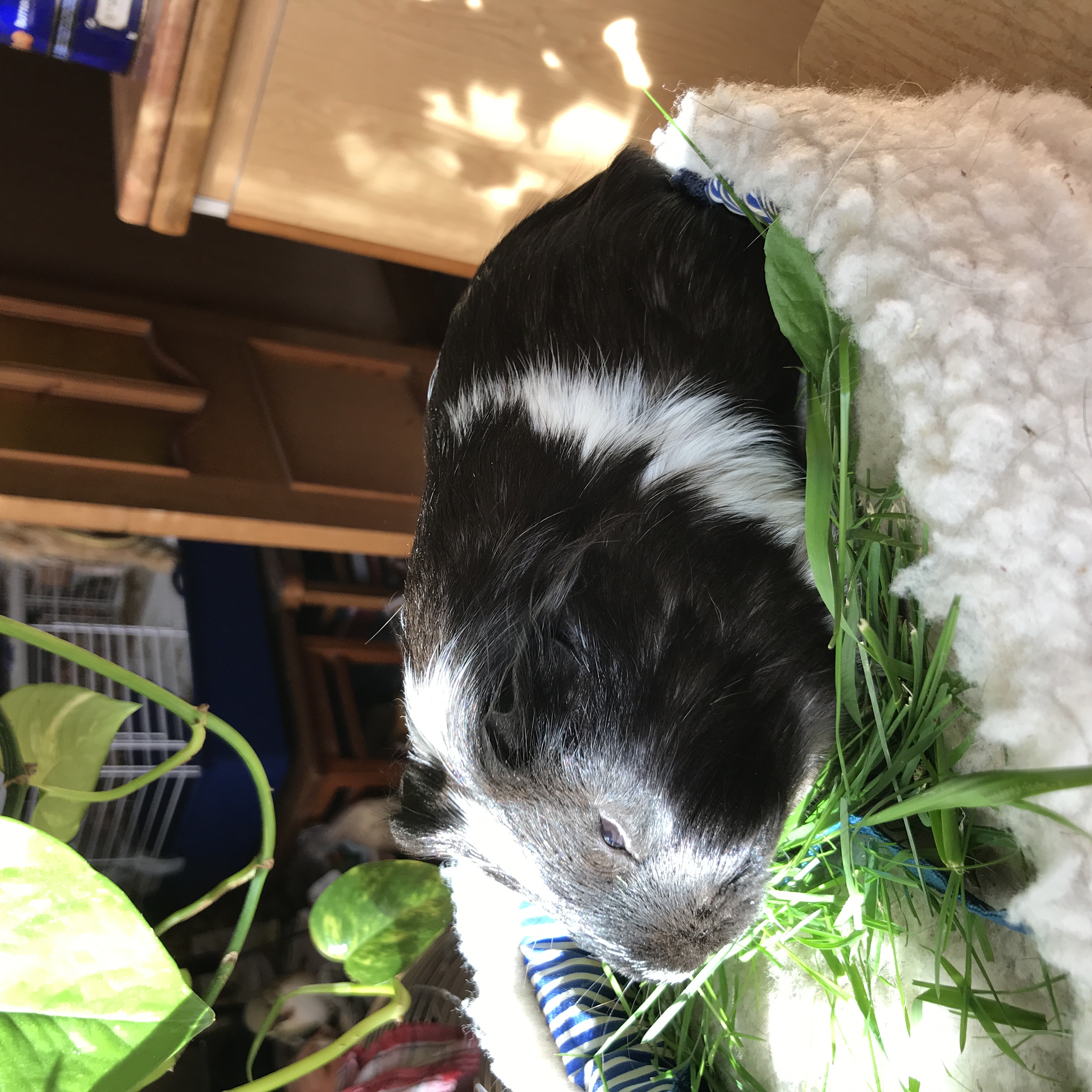 image-11