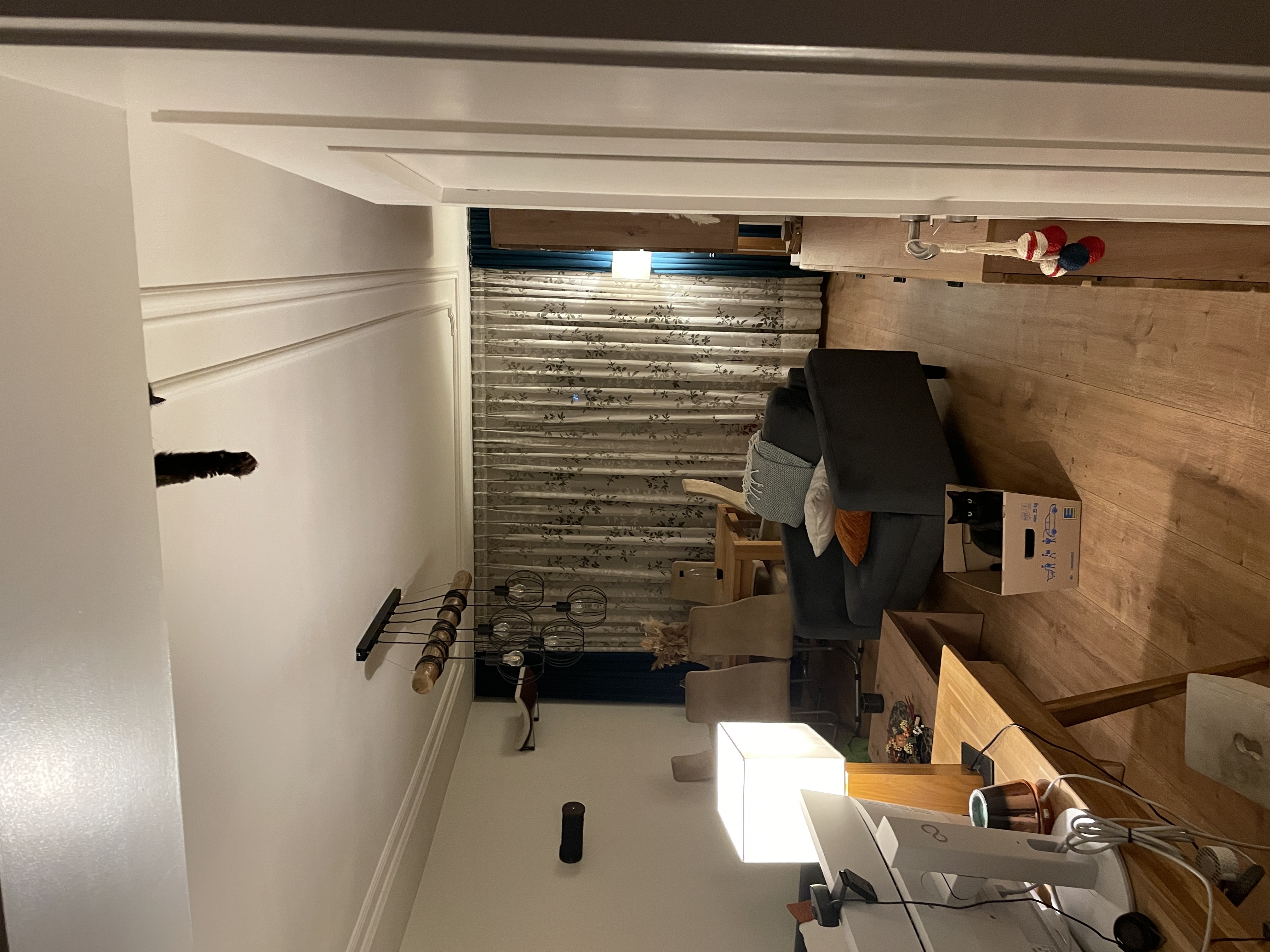 image-12