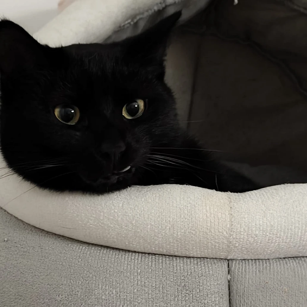 Milo