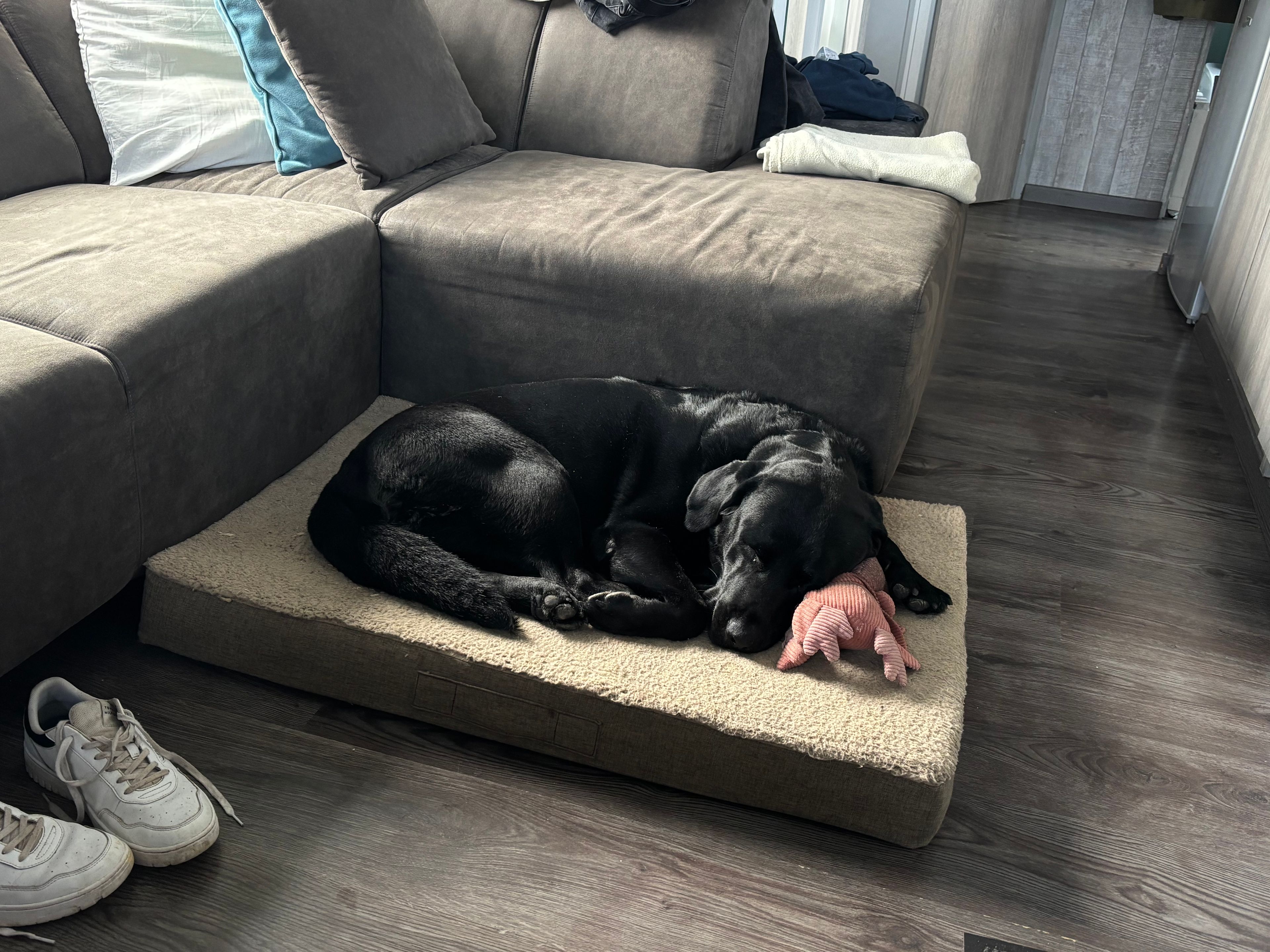 image-13