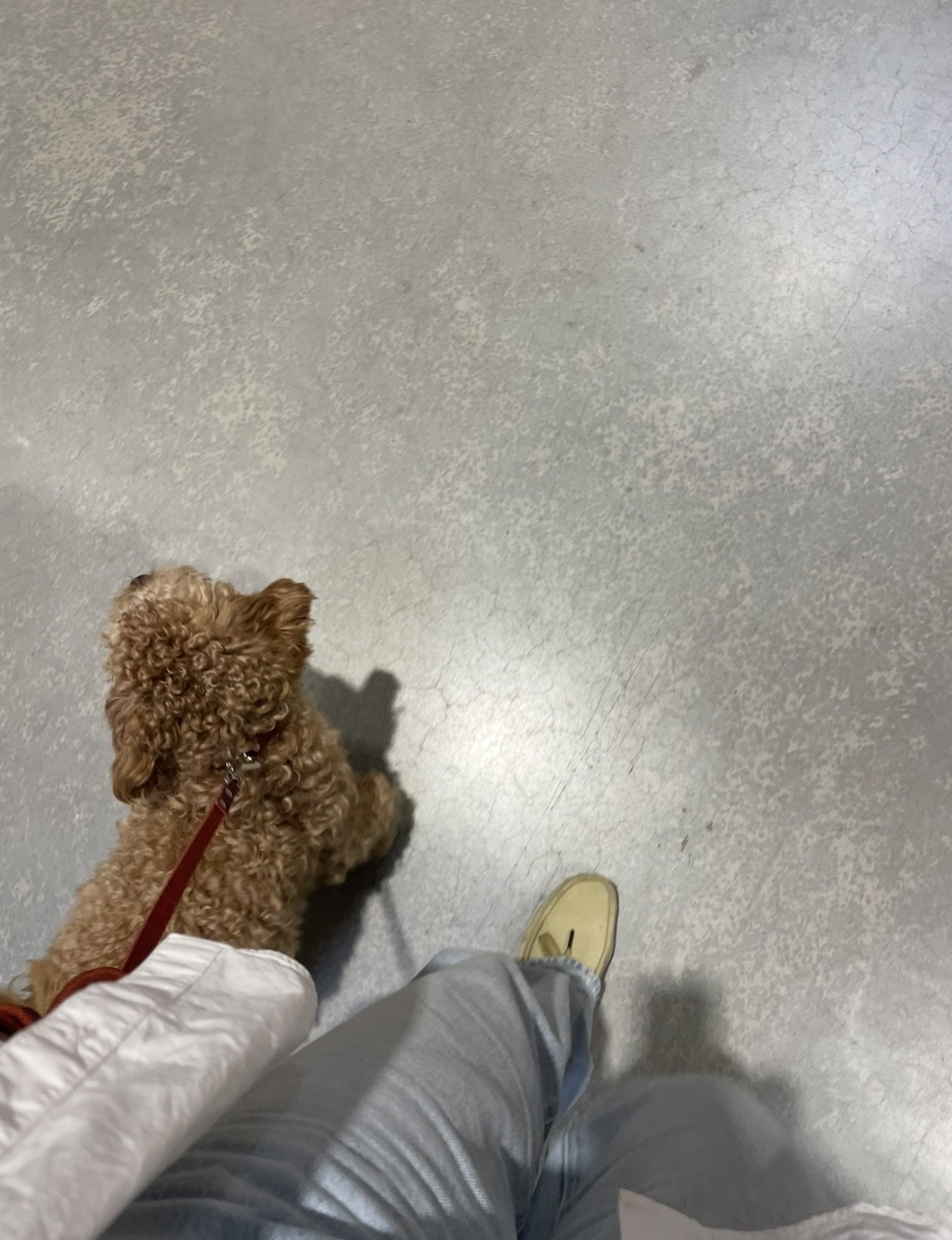 image-6
