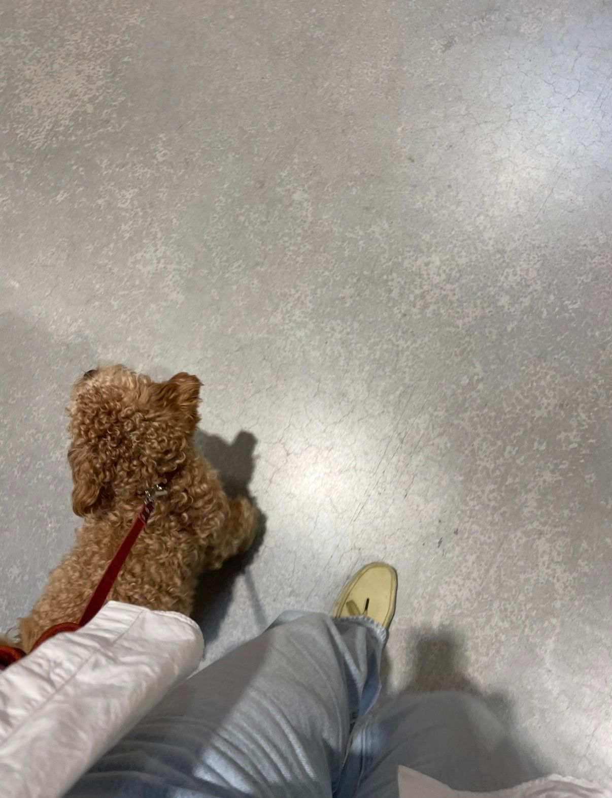 image-6