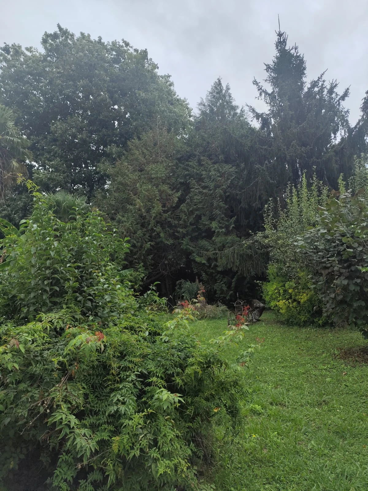 image-9