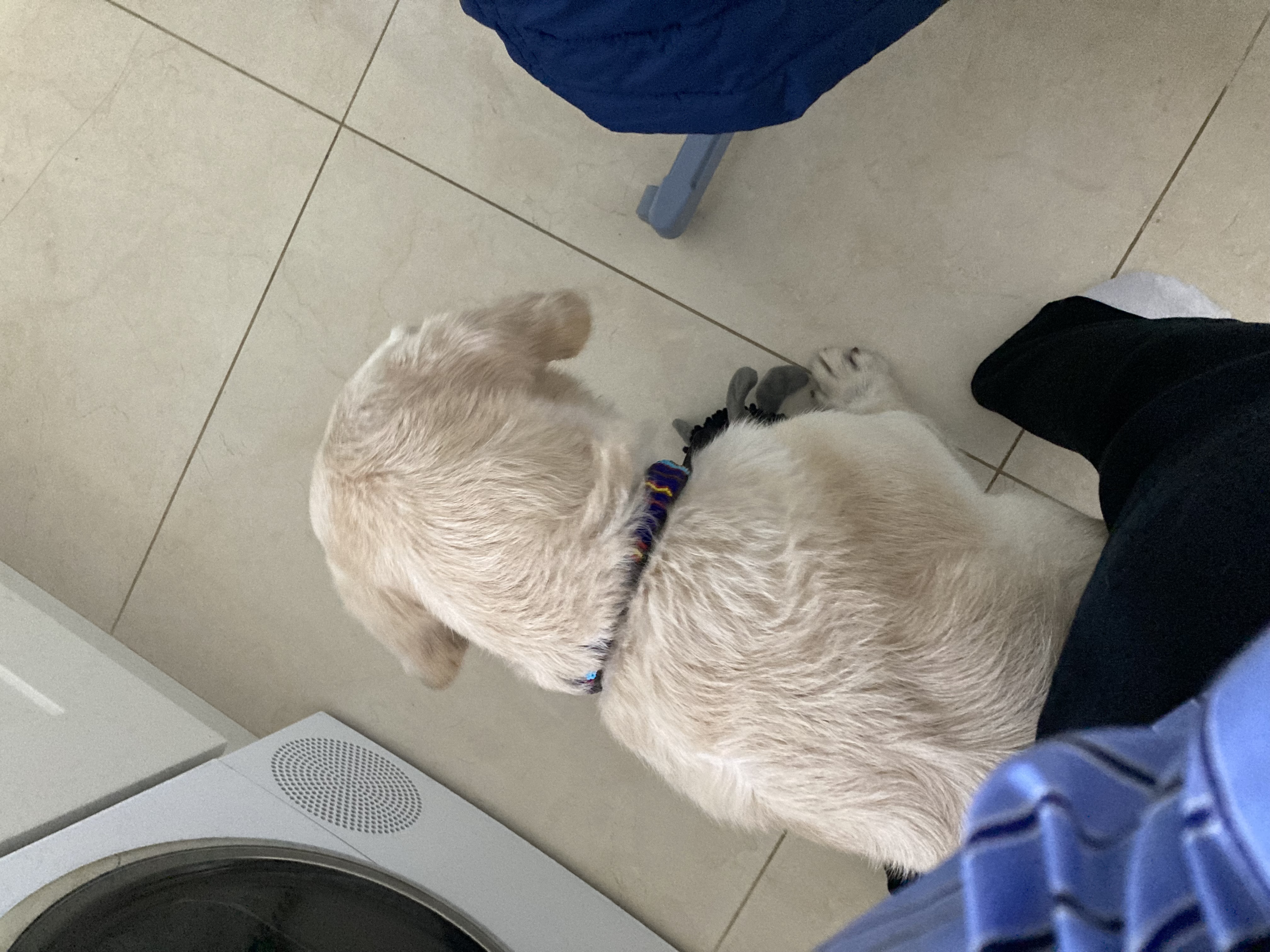 image-11