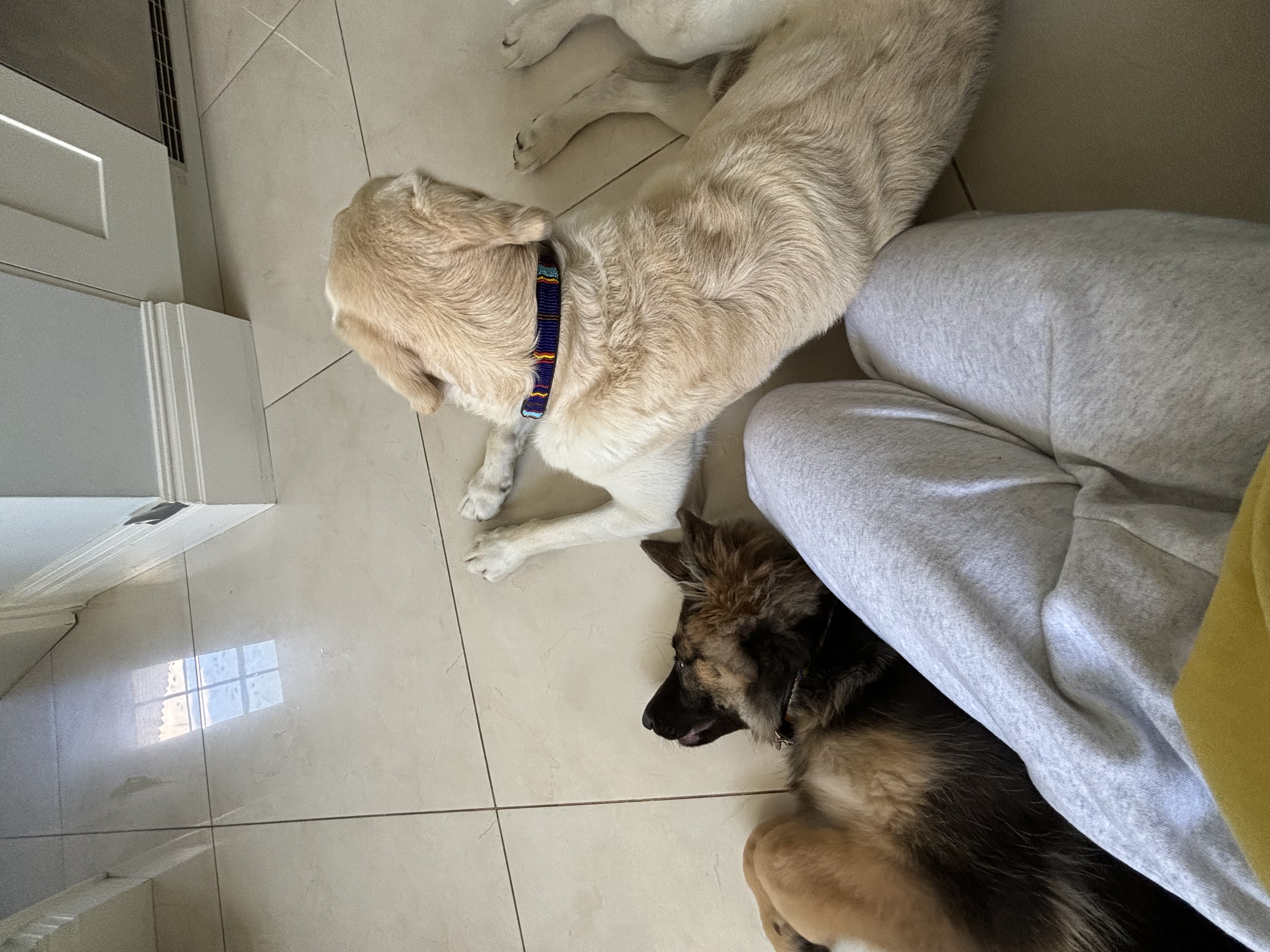 image-6