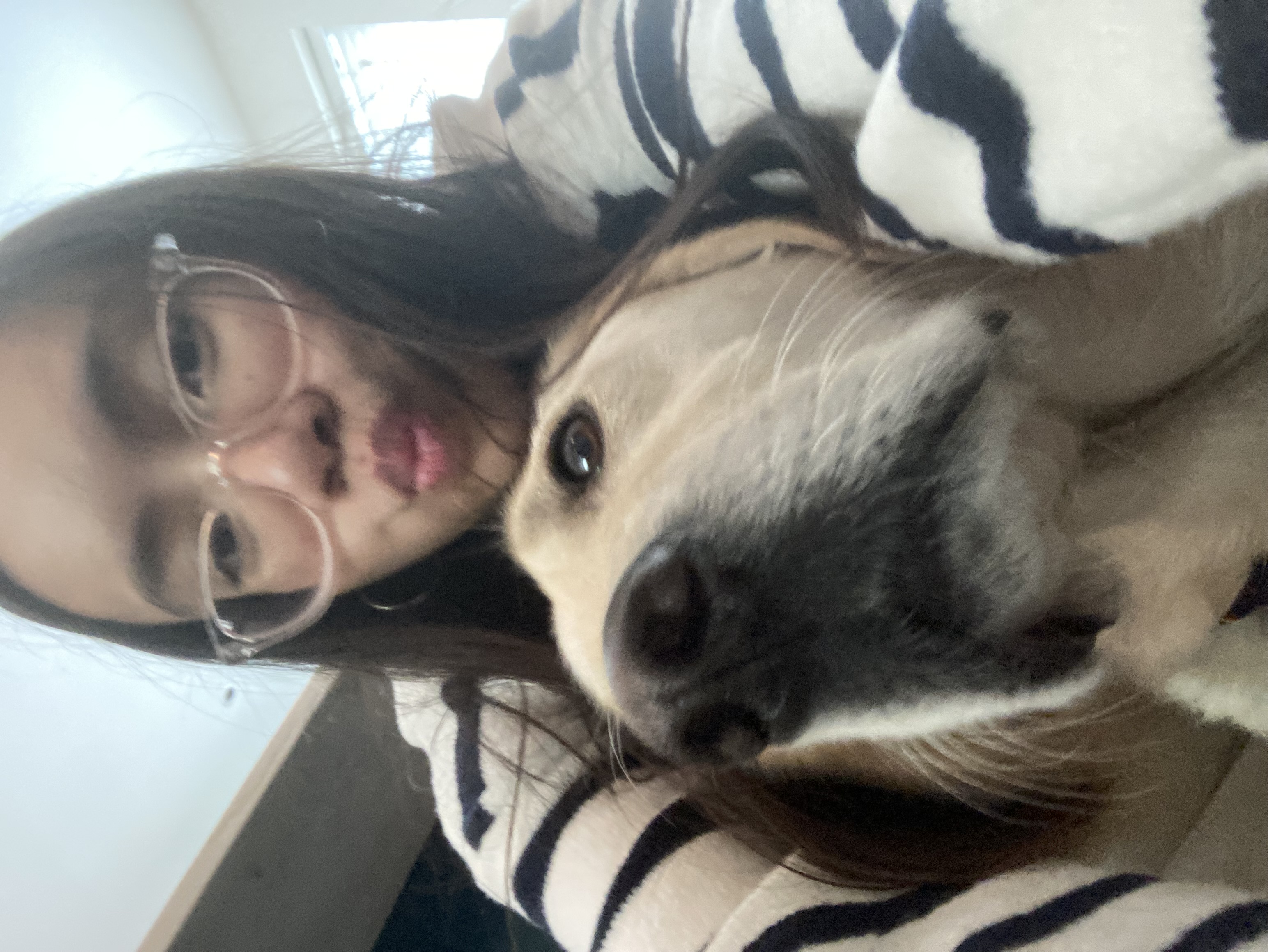 image-8