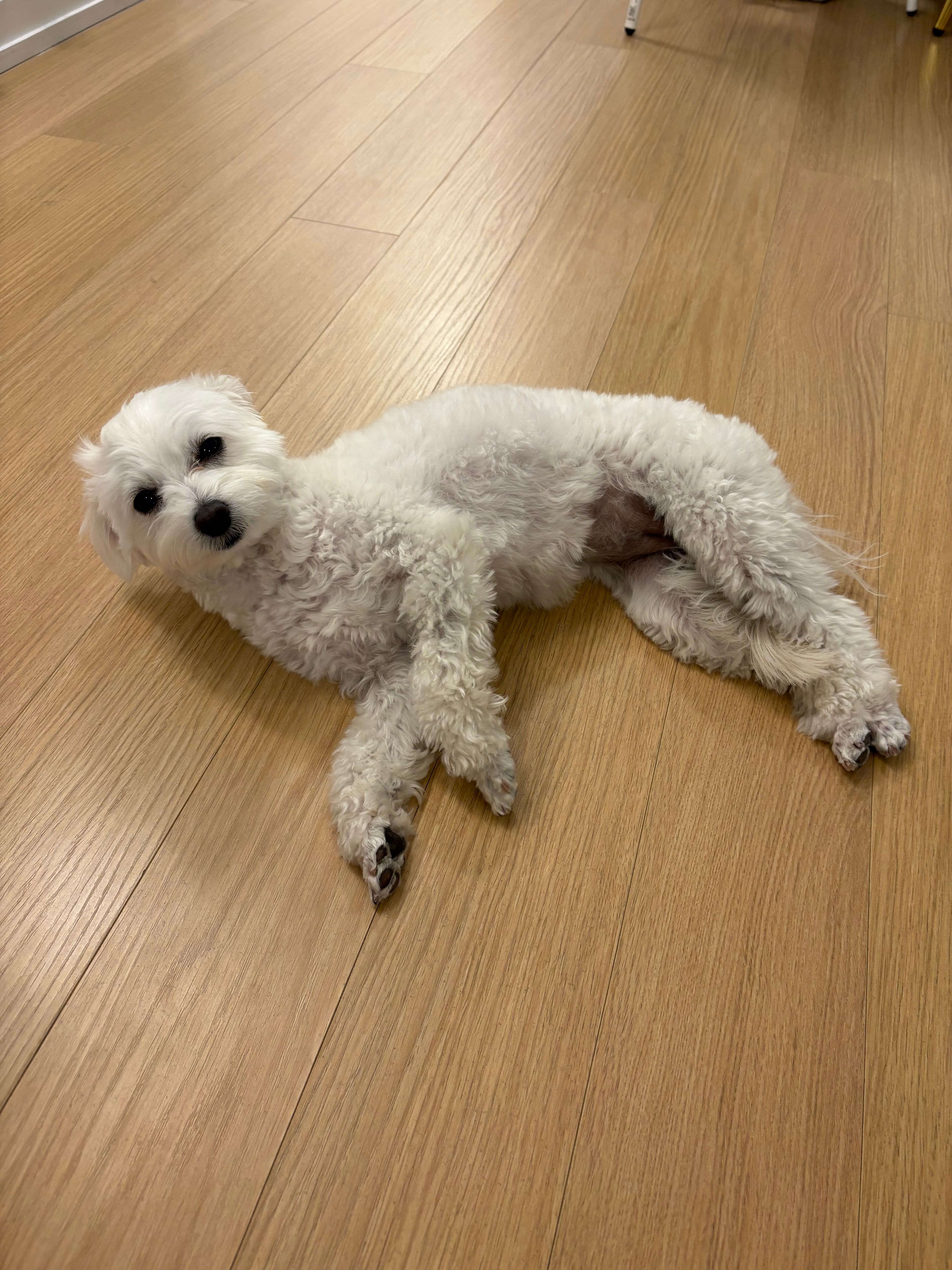 image-8