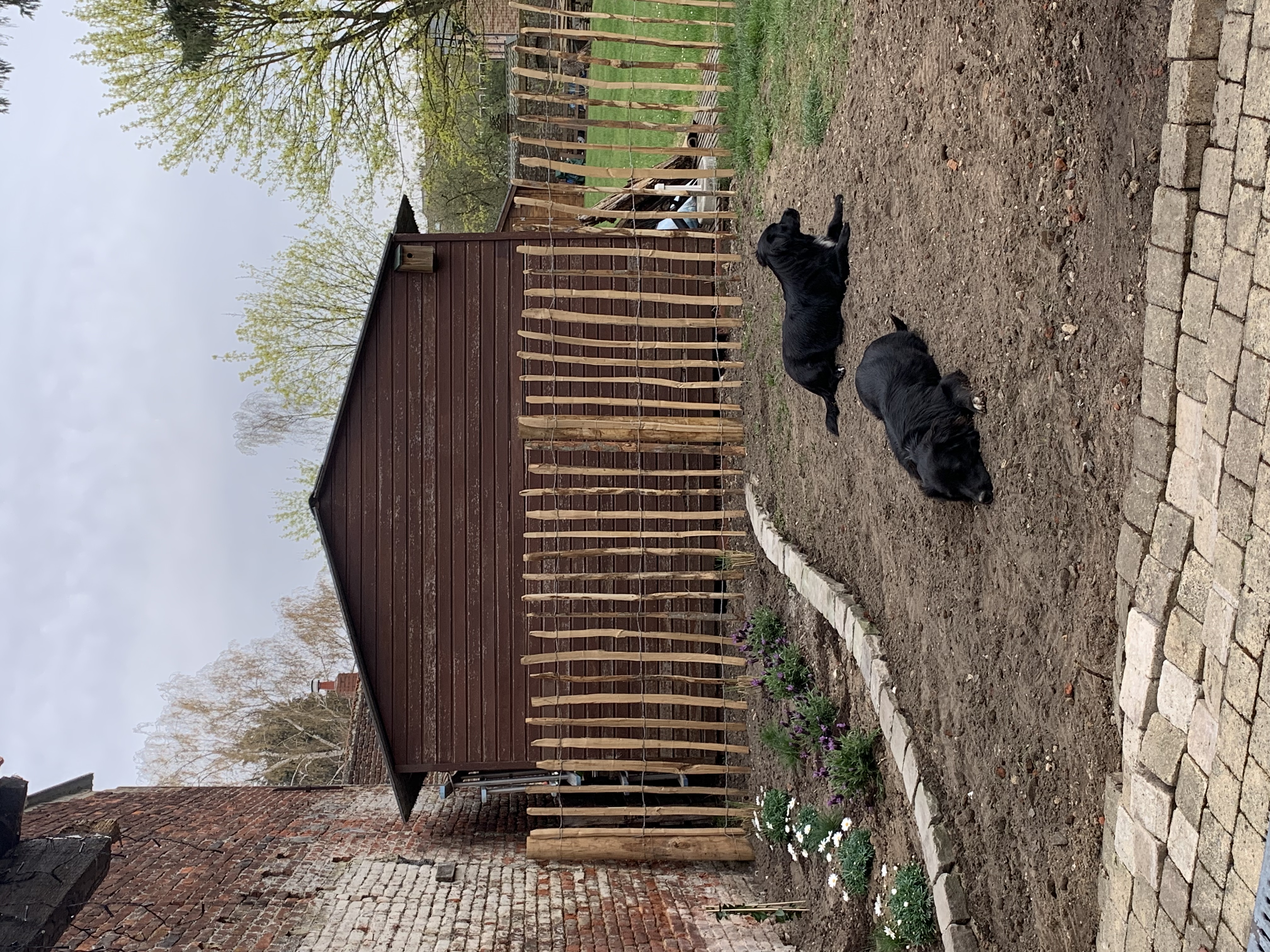 image-19