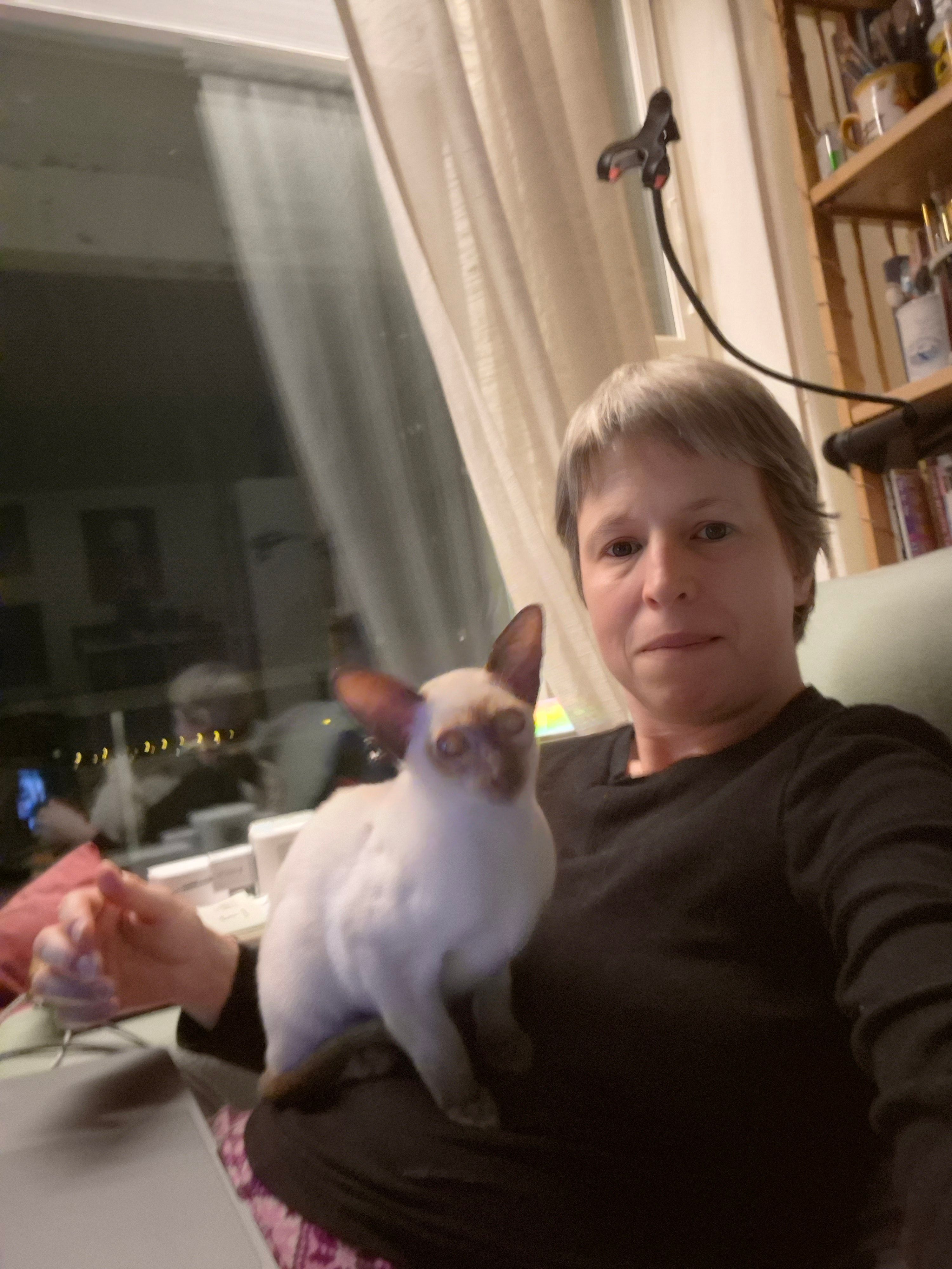 image-3