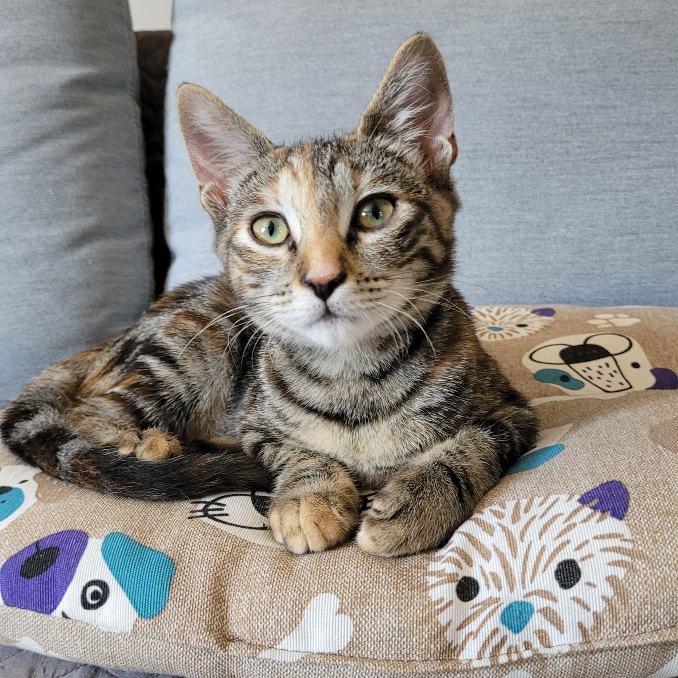 Kira