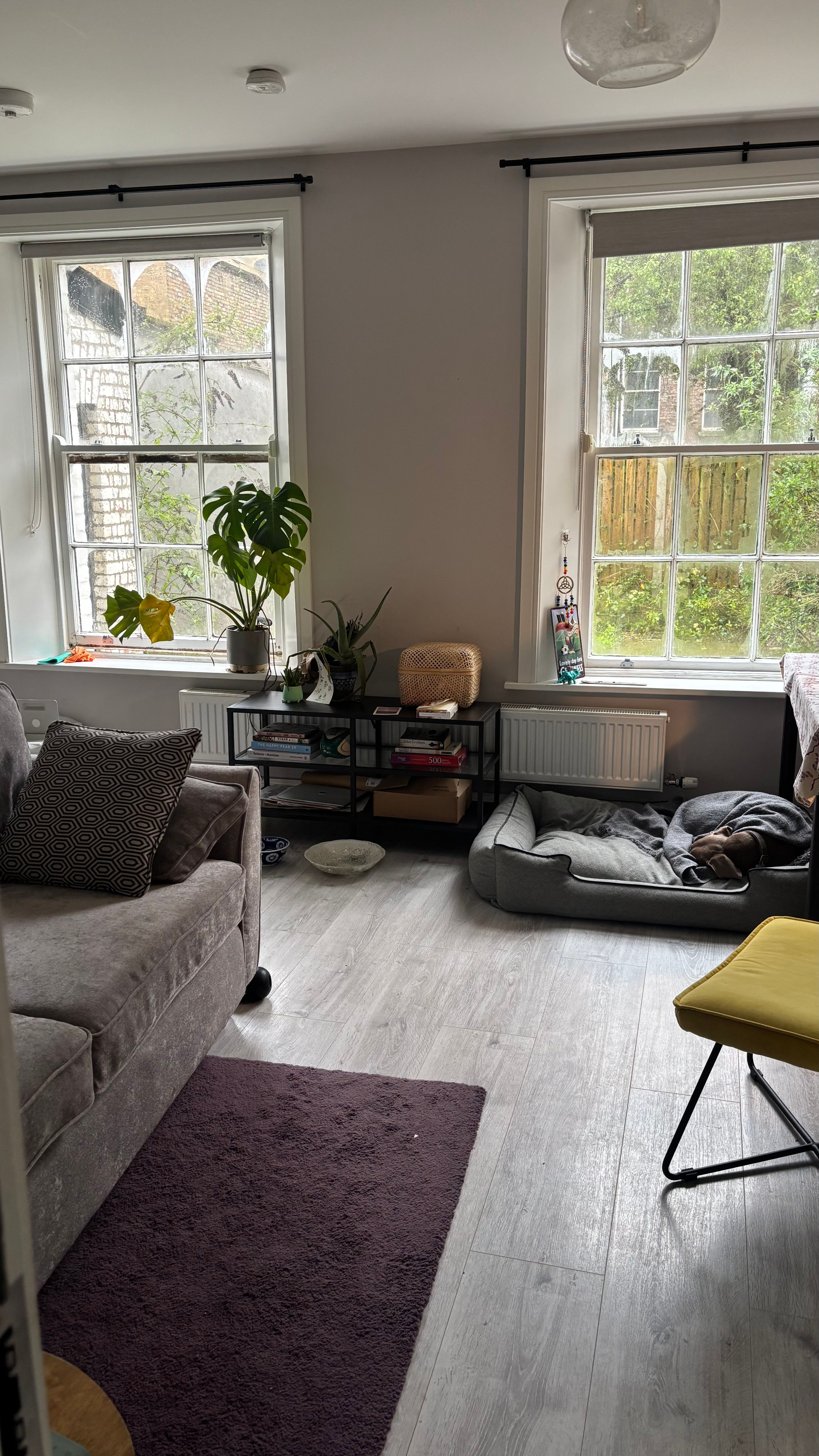 image-20