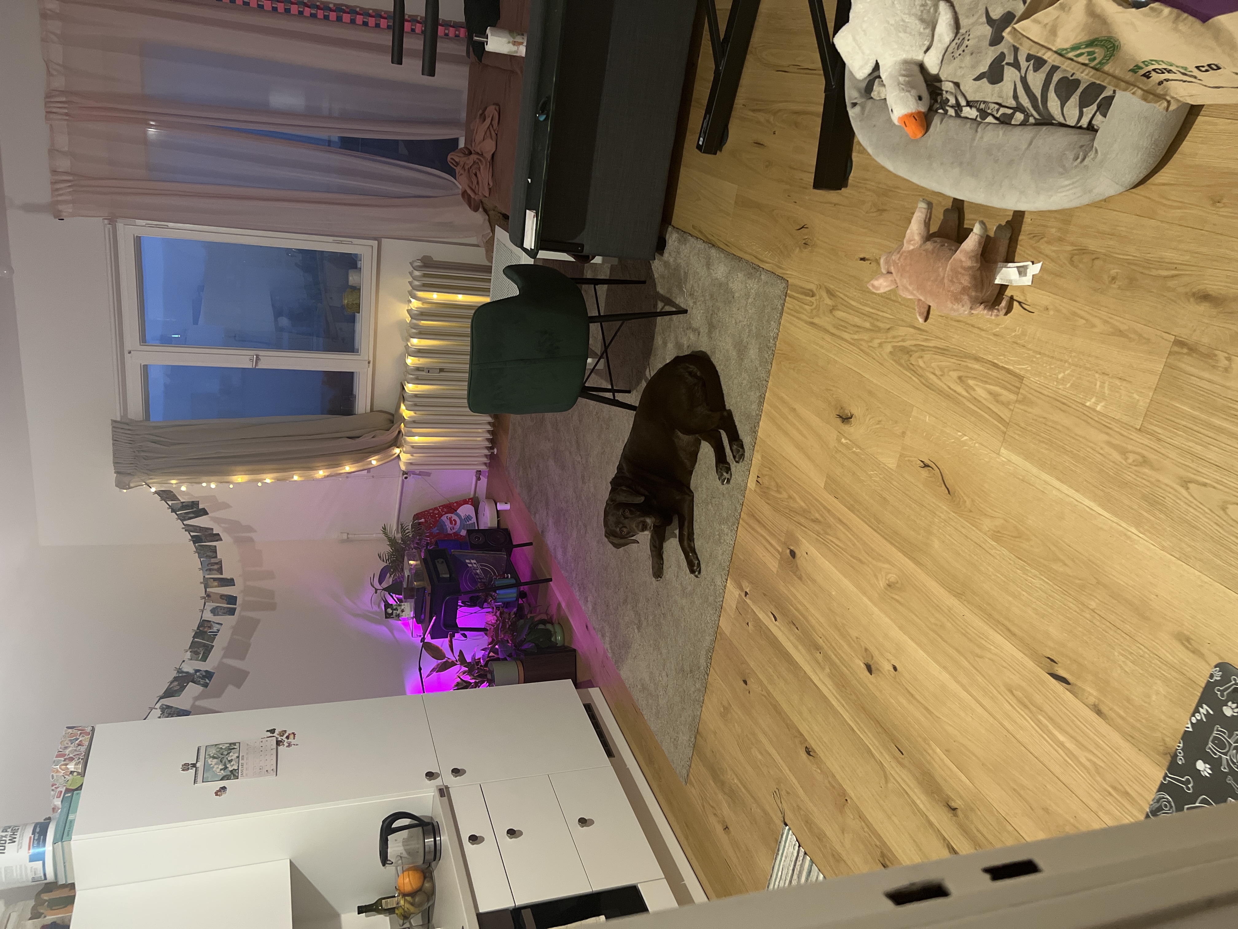 image-16