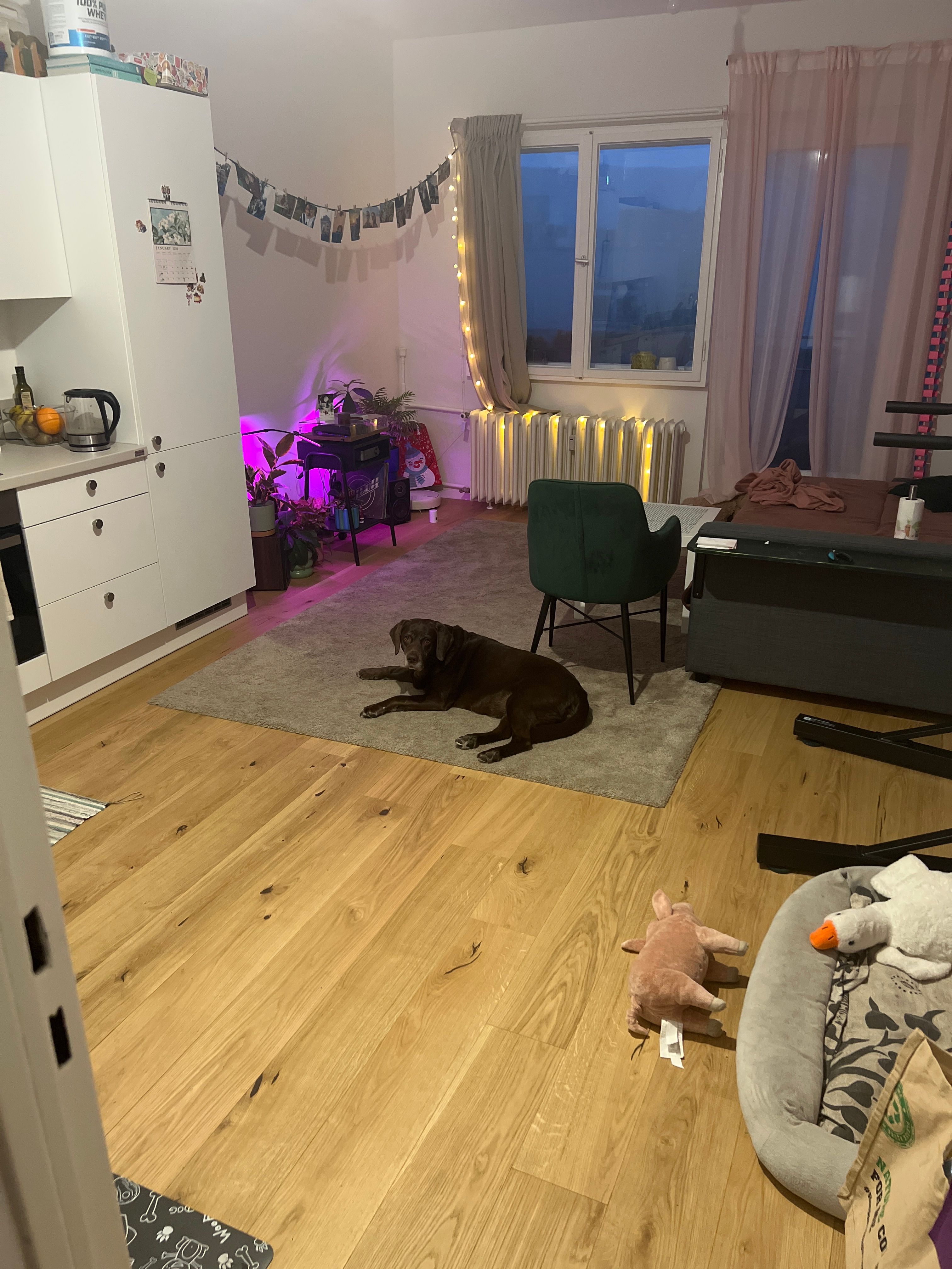 image-16