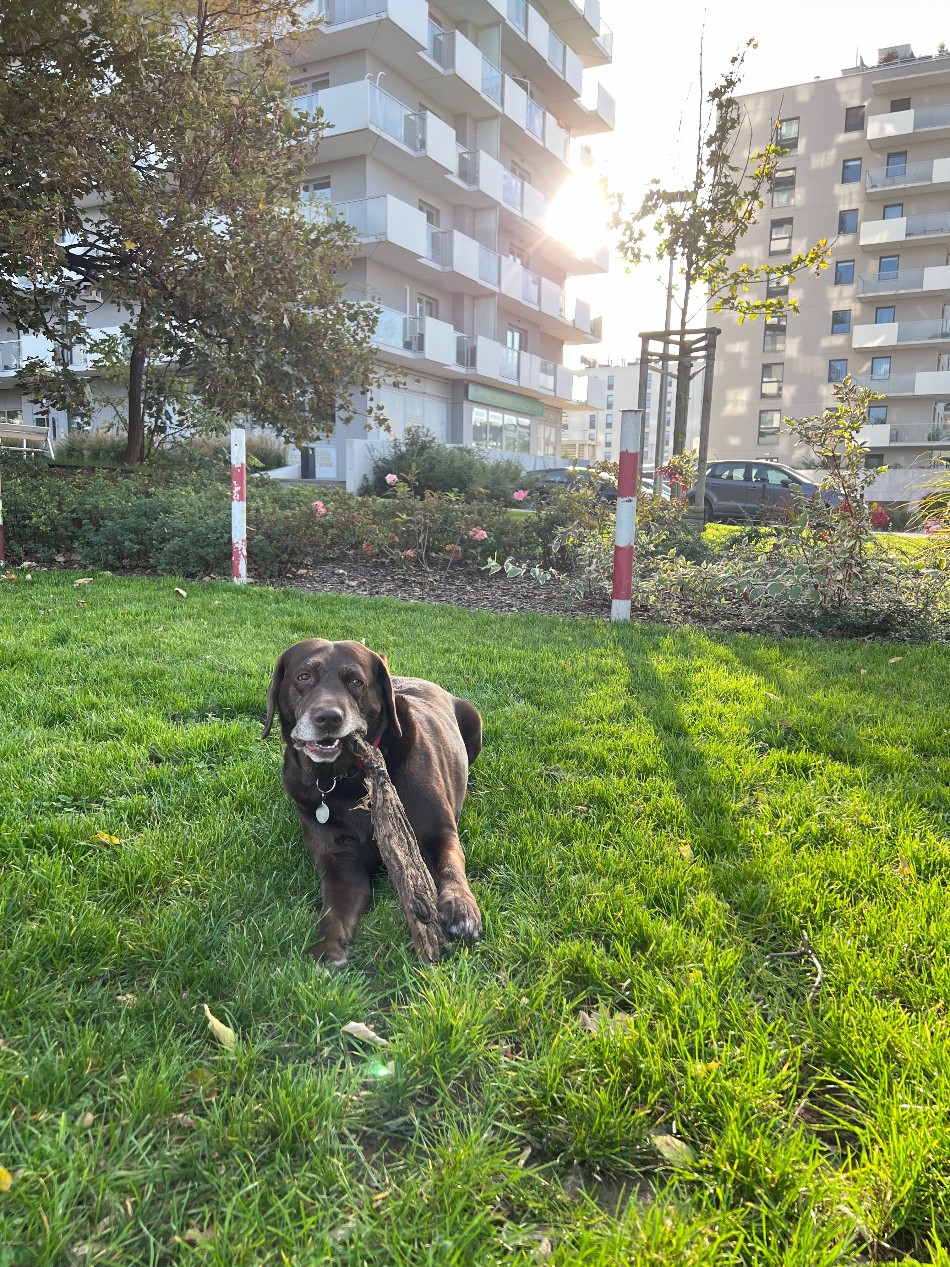 image-8