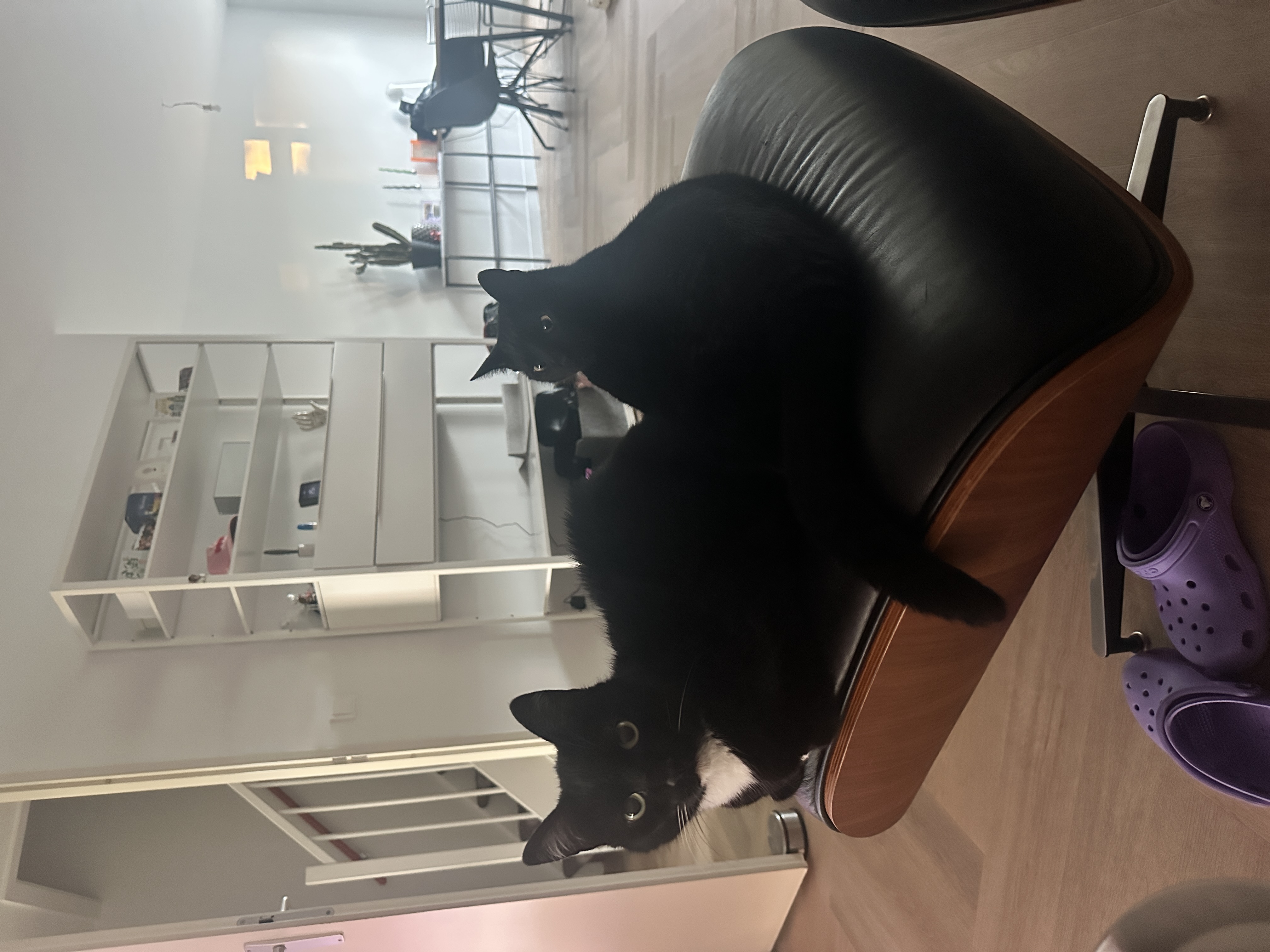 image-2